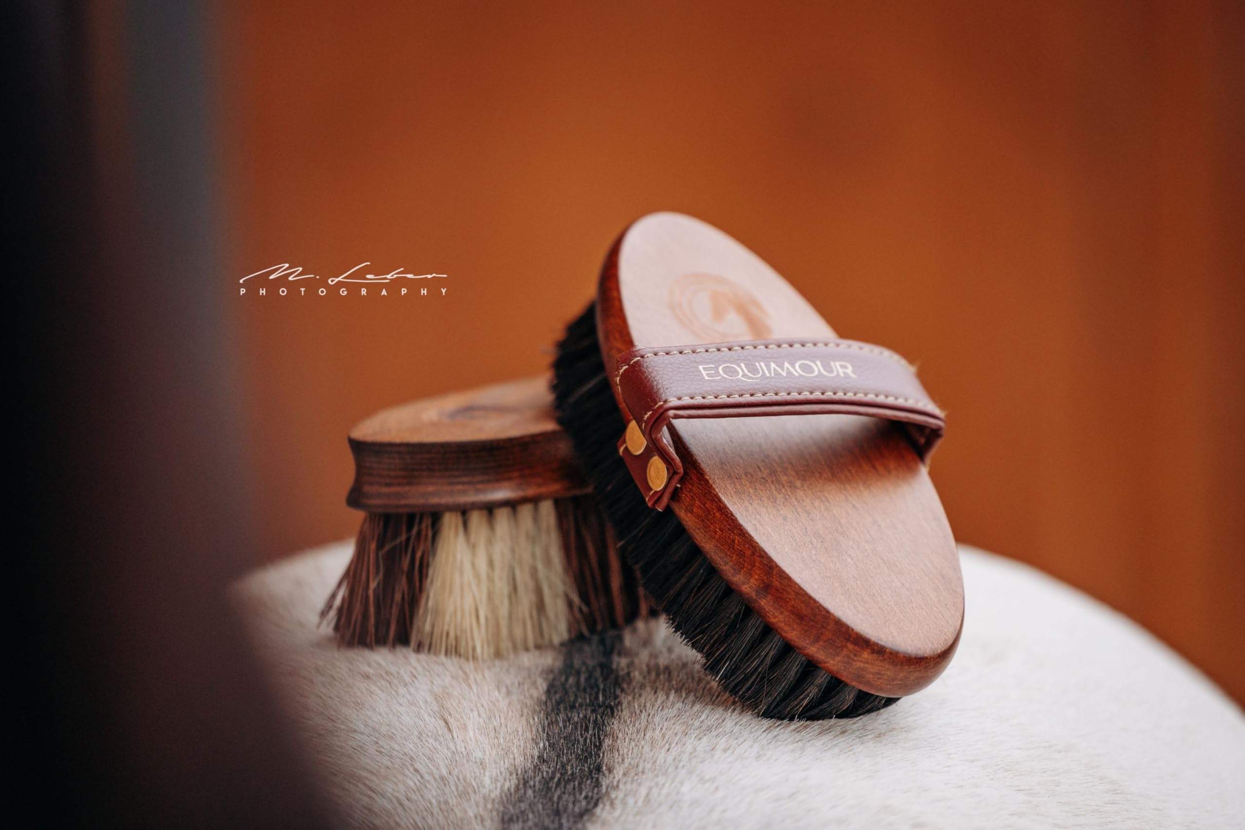 Rosshaar Kardätsche – Pferdebürste aus Holz mit 100% Naturborsten für Fellpflege, Striegeln, Putzen, Glanz & Staubentfernung – Bürste für Pferd, Pony & tägliche Pflege