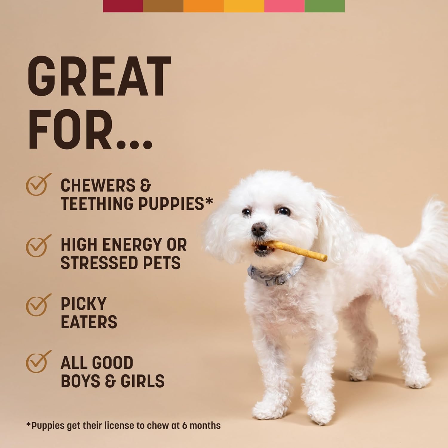 Earth Animal No Hide Stix - Long Lasting Rawhide Free Small Dog Chews Sticks, Venison - 80 Count Extra Value Pack