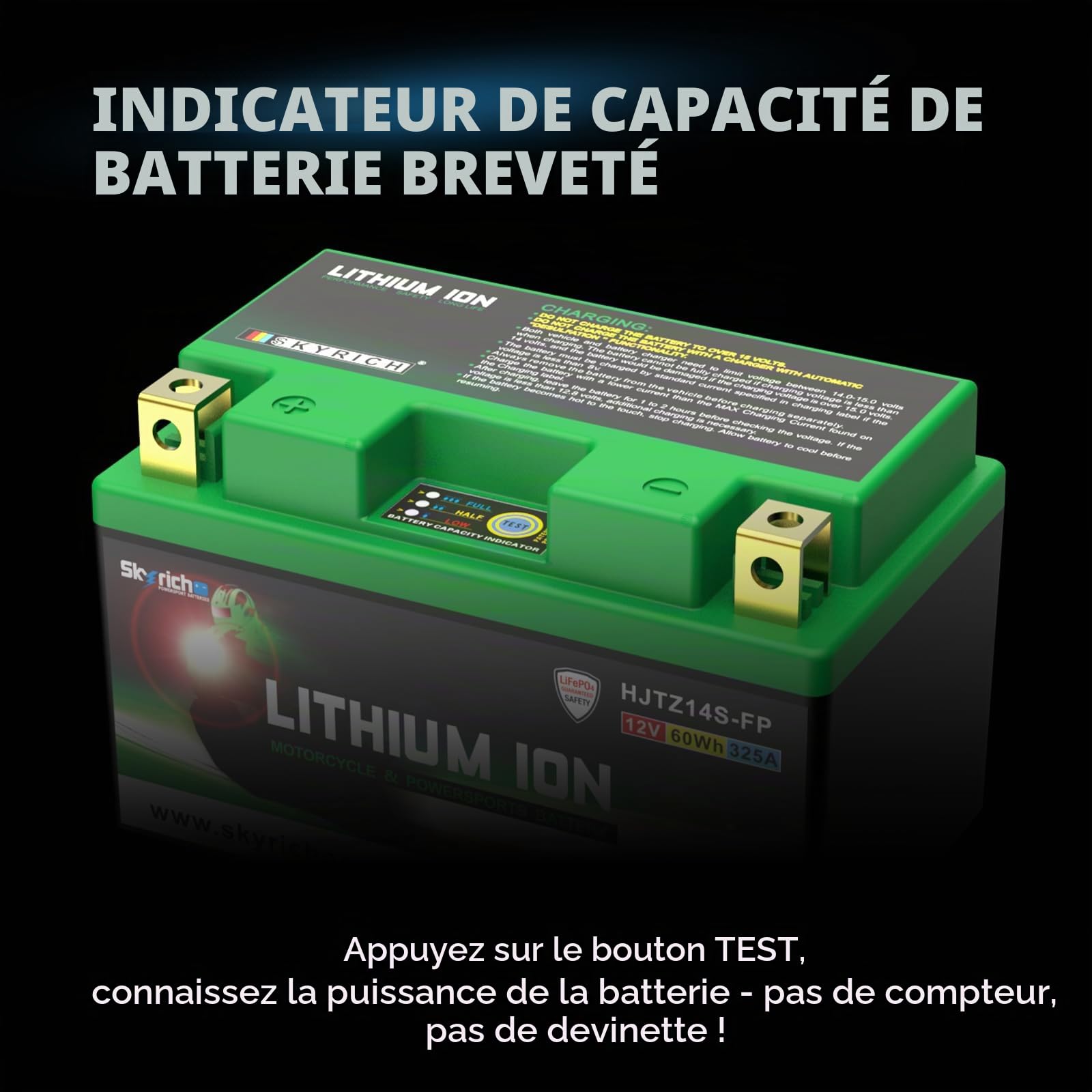 Batterie Skyrich Lithium HJTZ14S-FP