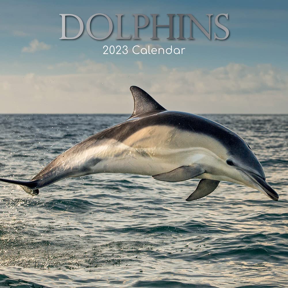 Dolphins – Delfine – Delphine 2023 – 16-Monatskalender: Original The Gifted Stationery Co. Ltd [Mehrsprachig] [Kalender]