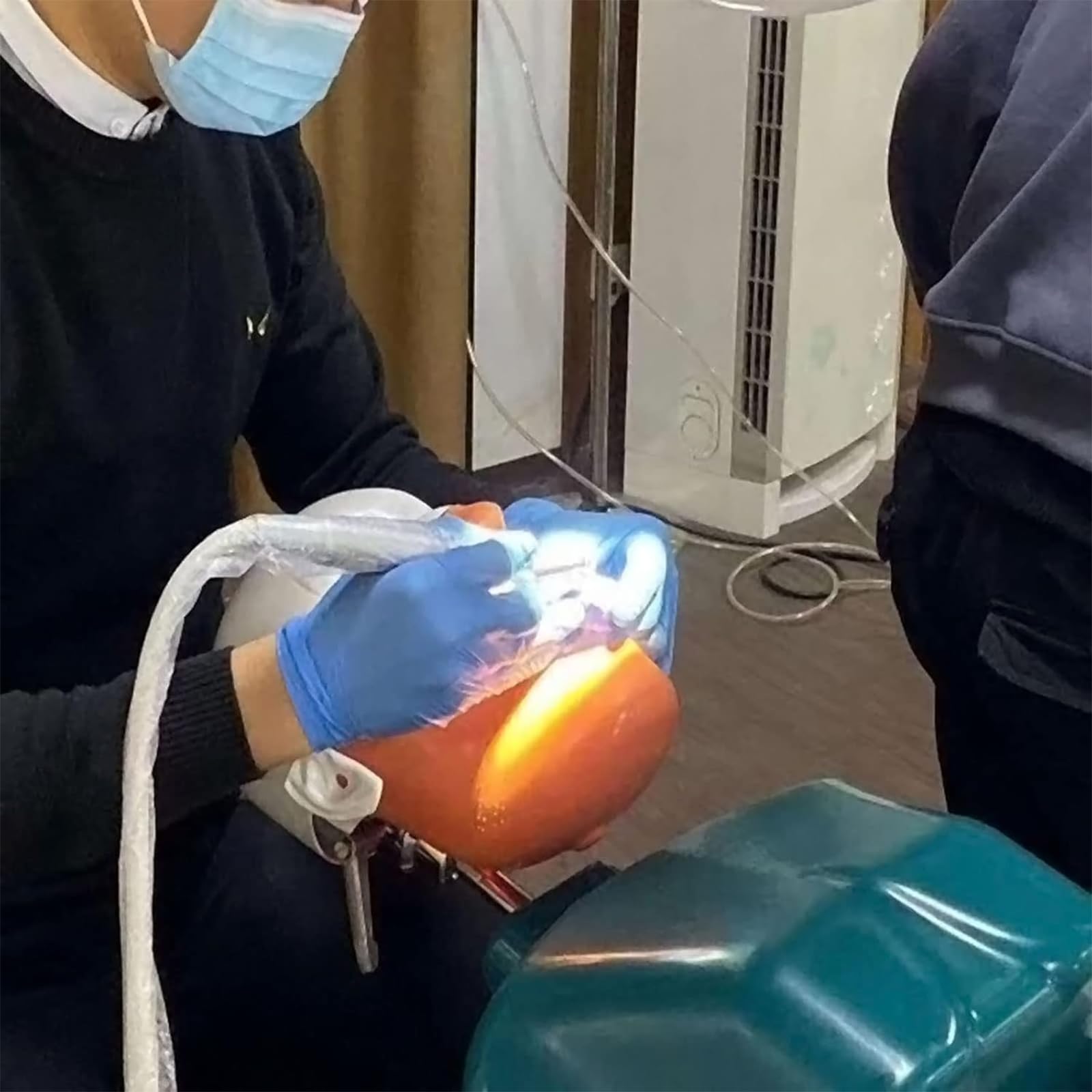 Dentales Lehrkopfmodell, Dentalphantomkopfmodell Mit Rückenlehnendesign, 360° Verstellbarer Kopfwinkel, Zähne Können Bewegt Und Entleert Werden, Sicher Und Geruchlos, Für Zahnärzte