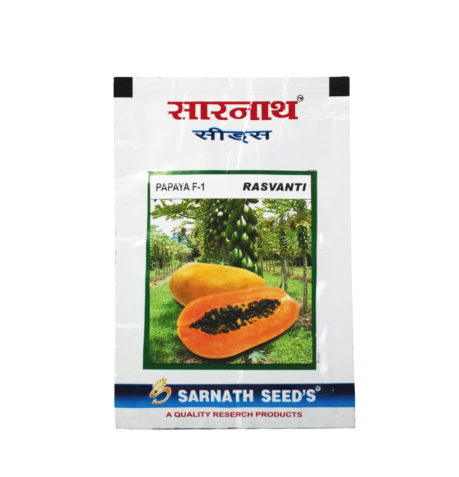 See full amazon price history chart for SARNATH SEEDS Rasvanti Papaya Fruit Seeds | Papaya Hybrid Variety Dwarf Fruit Seeds | Gardening High Germination Seeds SARNATH SEEDS Rasvanti Papaya Fruit Seeds | Papaya Hybrid Variety Dwarf Fruit Seeds | Gardening High Germination Seeds (B0BH13VCBW) Amazon Price History, Amazon Price Tracker