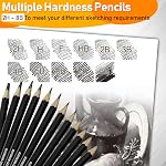 Drawing Pencil Set, 12 Pack Graphite Sketching Pencil Set Includes 2H to 8B, Pencil Sketch Kits with Art Supplies, Ideal for Artists, Adults, Sketching Lover (Type 2)