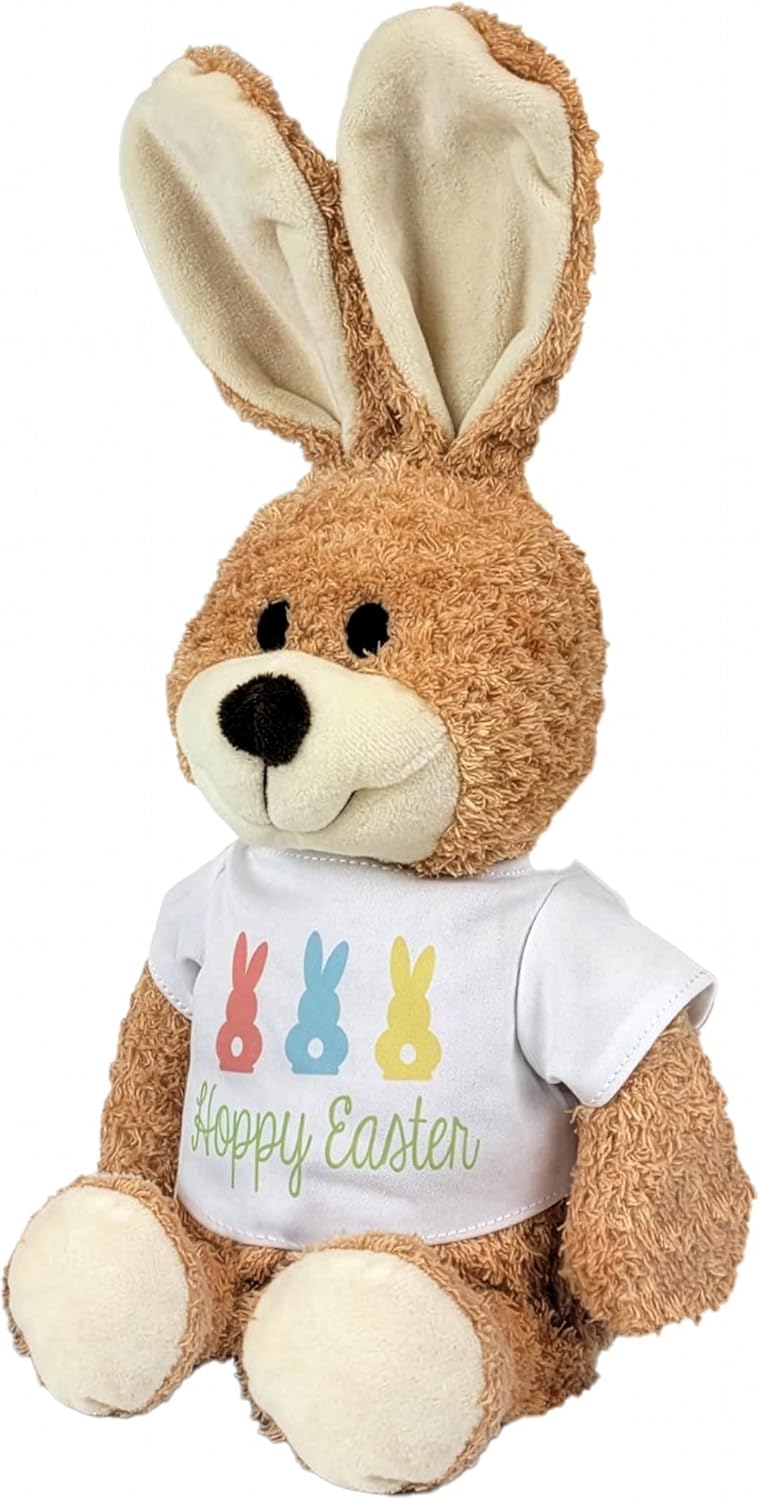 Personalized Brown Bunny With Colorful Easter Eggs Shirt Small 12in, Easter Home Décor