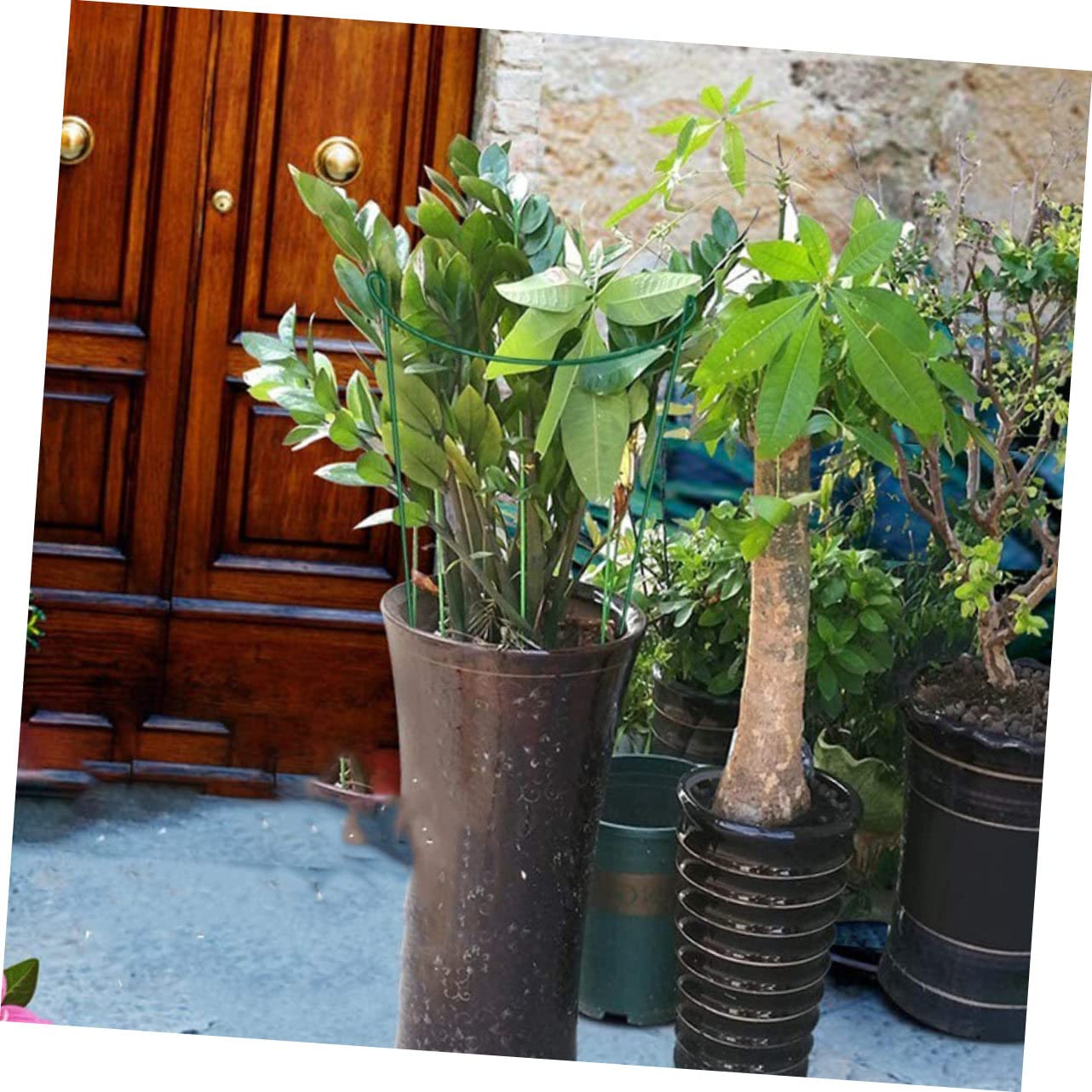 6 Piezas De Estacas De Soporte para Plantas Soporte para Plantas Soporte para Plantas Soporte para Plantas Semicircular Soporte para Plantas En Maceta Accesorio De Jardín