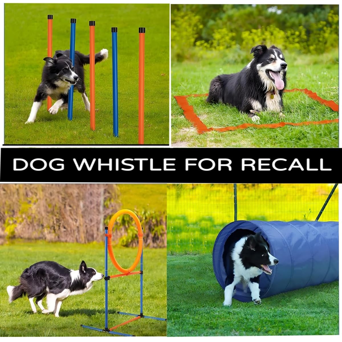 Lot de 2 Sifflets Ultrasons pour Chien,Sifflet Anti Aboiement et Dressage Haute Fréquence Réglable,Appareil de Contrôle avec Cordon pour Rappel Chien,Convient à la Plupart des Races.
