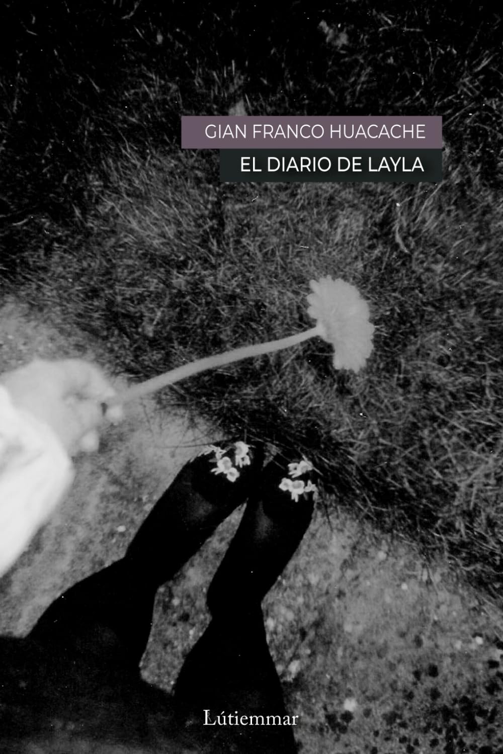 El diario de Layla (Spanish Edition)      Paperback – Large Print, February 21, 2025