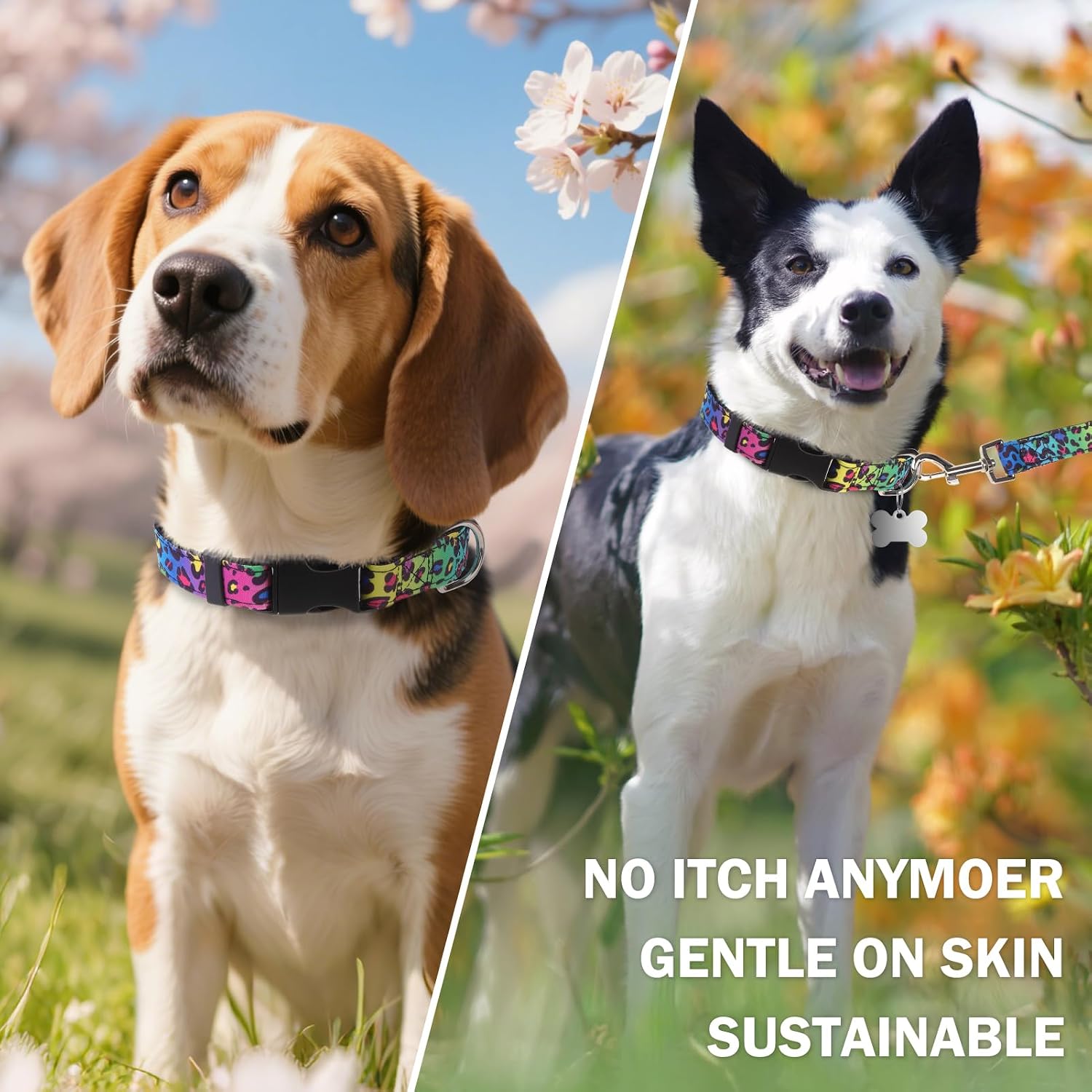 Dog Collar and Leash Set, Adjustable Pet Collars with 5FT Leash image 4
