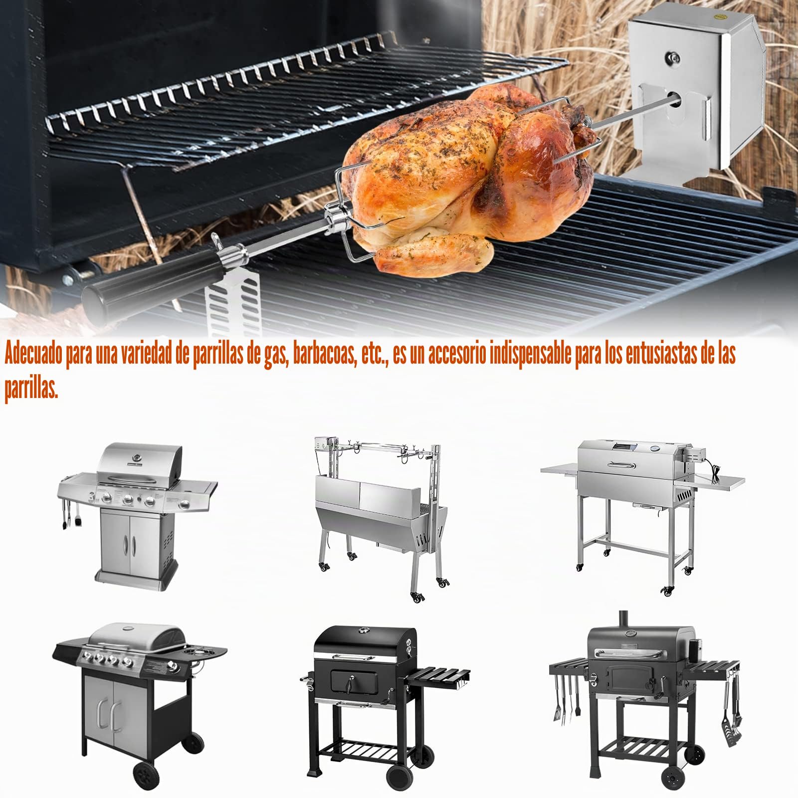 Froadp 220-240V Asador Eléctrico Giratorio para Barbacoa, Asador de Acero INOX con 4 Agujas para Carne, Kit de Asador de Pollo Asado con Motor, Asador Barbacoa para Parrilla de Gas BBQ