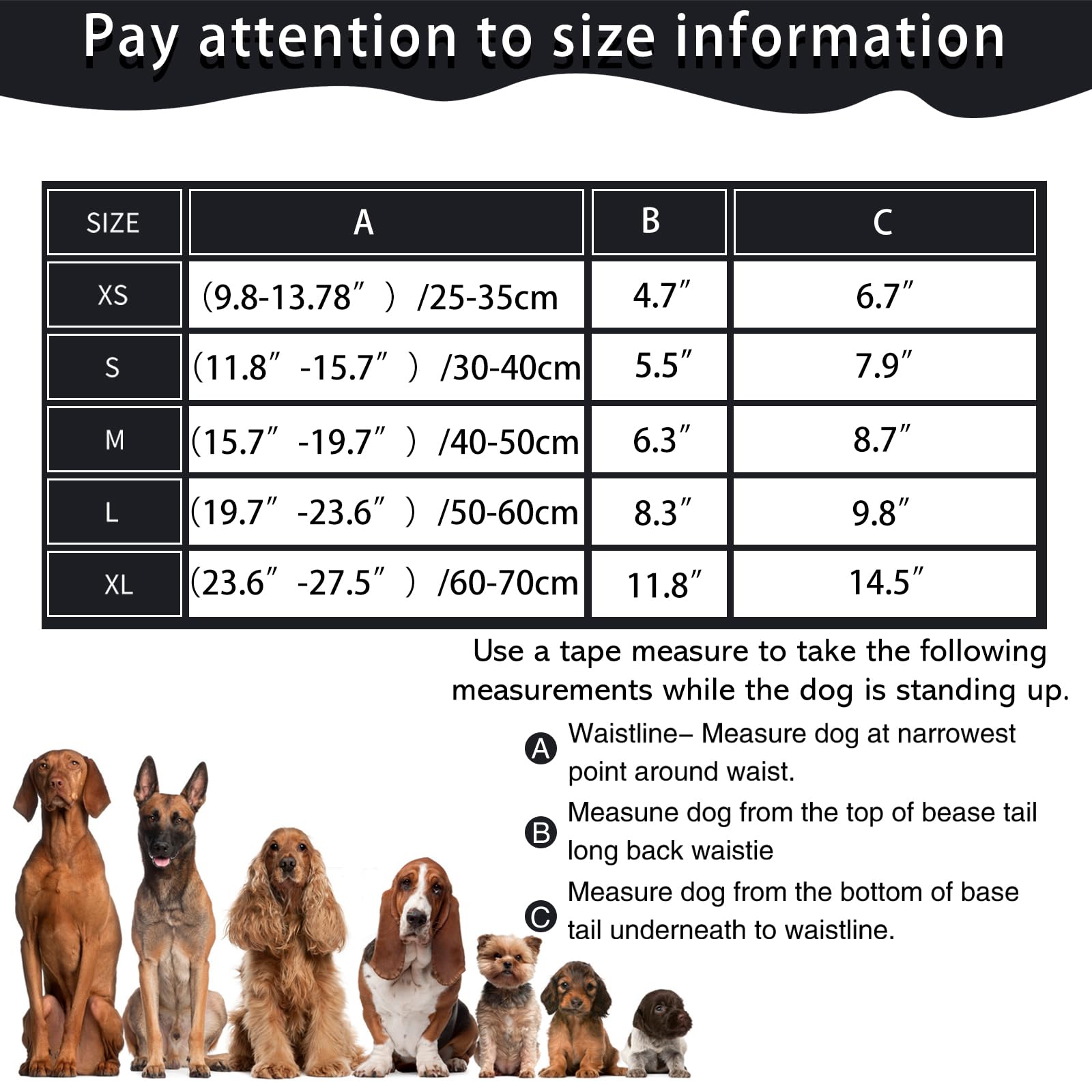 Medo 3 Packs Dog Nappies - Image 4