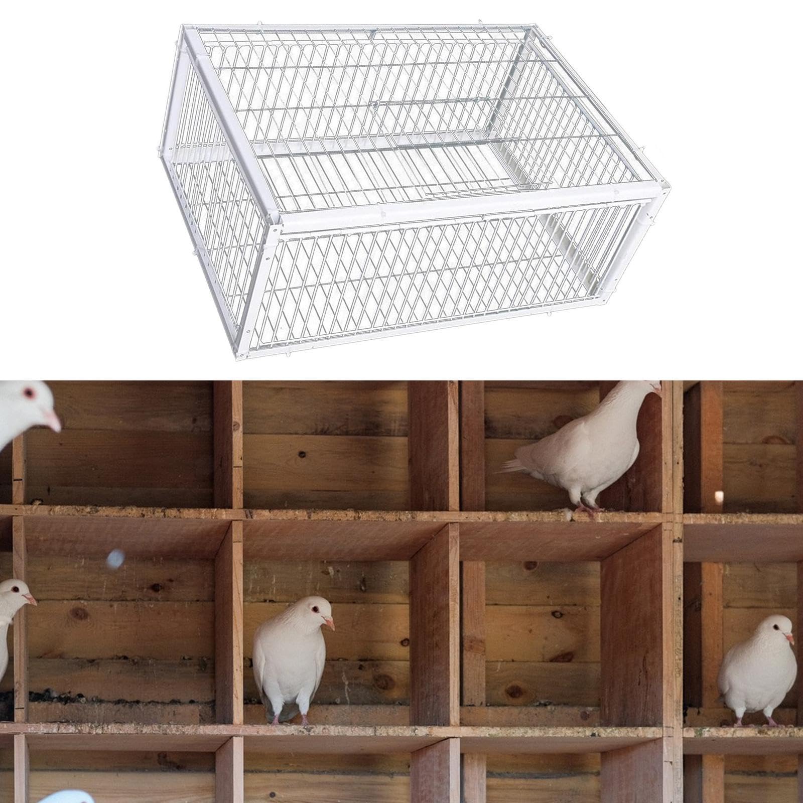 Jaula para Pájaros/Palomas, Caseta Grande, Entrada Sencilla, Estructura de Hierro Reforzado, Función de Controlado, Adecuada para Granjas, 4 Entrada