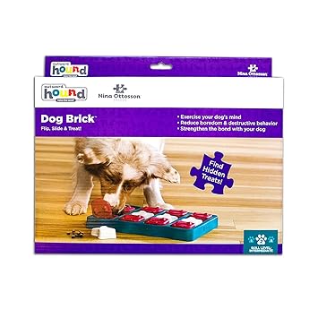 Outward Hound Dog Brick Interactive Treat Puzzle Dog Toy Brain and Exercise Game for Dogs A Fun Way for Your Smart Pups to Train Their Brain While Redirecting Destructive or Negative Behaviour
