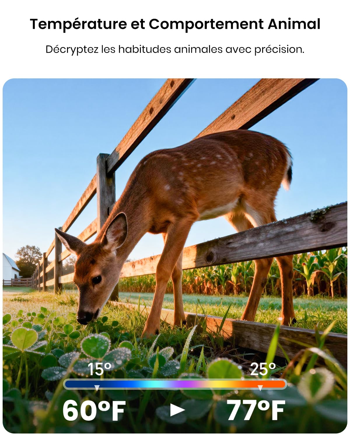 Misstech Caméra de Chasse Solaire 4K 64MP, Vision Nocturne, sans Abonnement