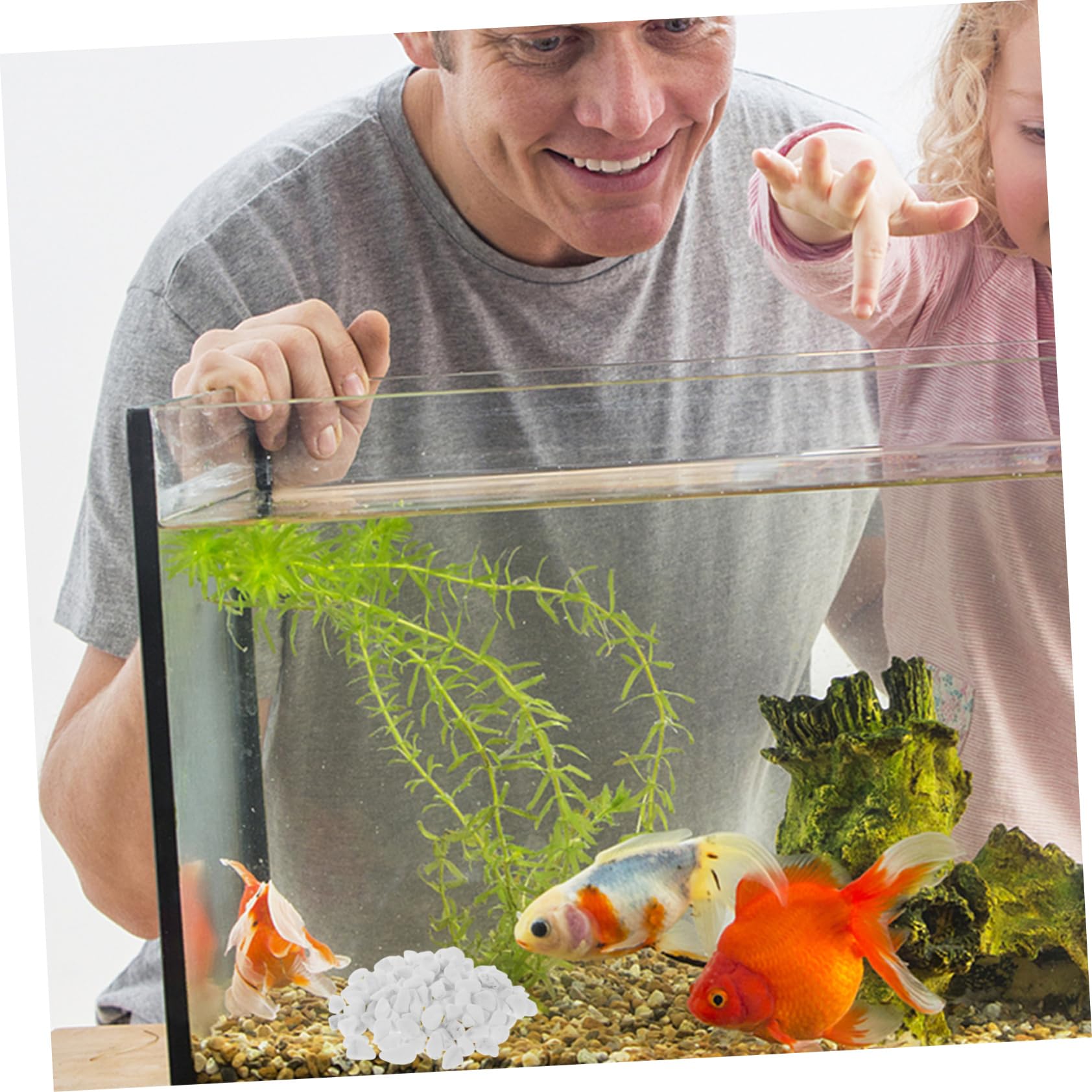 Kisangel Ghiaia Per Acquario Decorativa Pietre Naturali Per Fondo Acquario Ciottoli Bianchi Per Piante Da Interno Vasi e Fioriere
