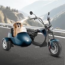 eAhora M1P Sidecar, 2000W Motor, 40+ Miles Range for Daily Commute, 37MPH High Speed, 2-Person Ride