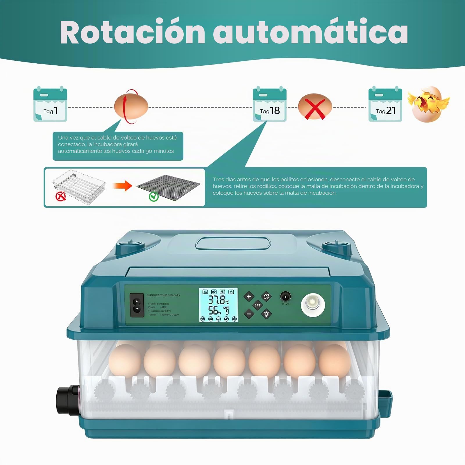 Incubadora automática para 36 huevos, 4 modos automáticos, Incubadora eléctrica - Volteo automático y suministro automático de agua - Control inteligente de temperatura - Doble alimentación (B)