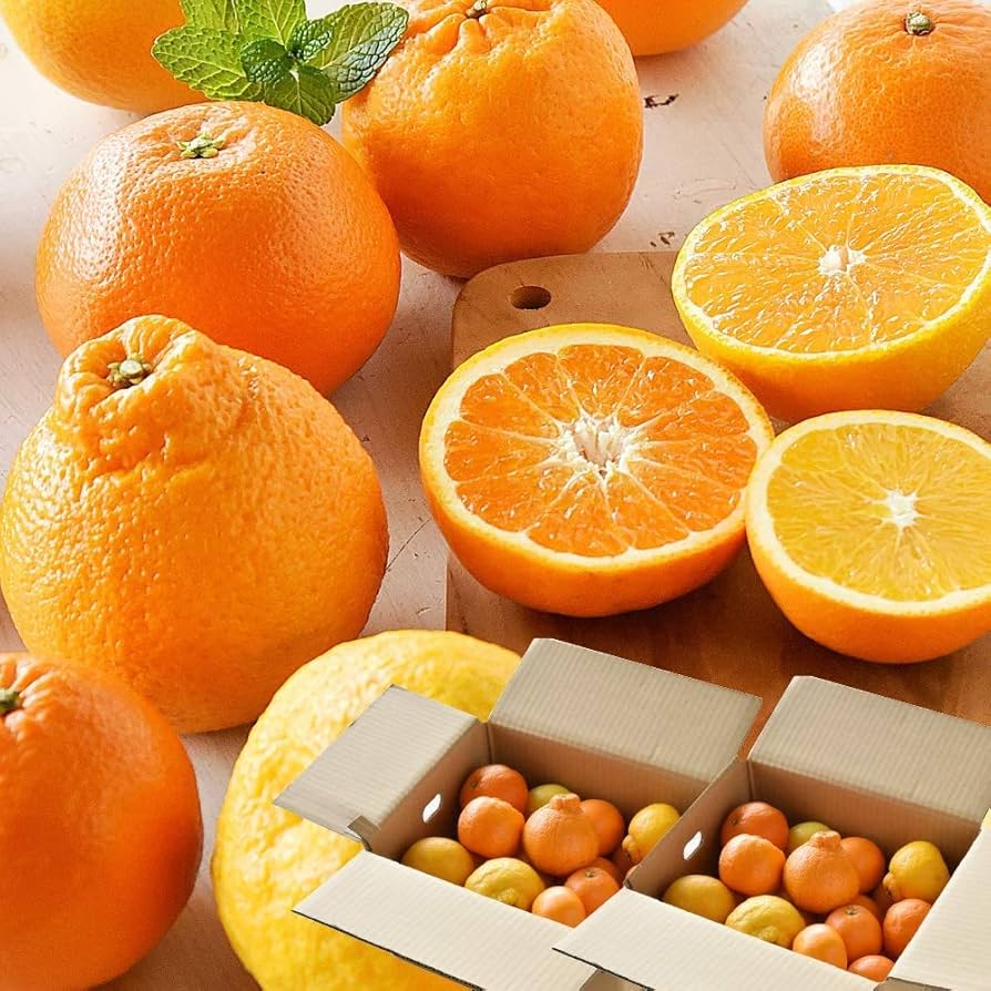 みかん11/4〜16出荷不可 様 ご購入予定品 お歳暮】◎JAみなみ筑後 山川みかん『マイルド130』M玉 約4㎏ ※11月30