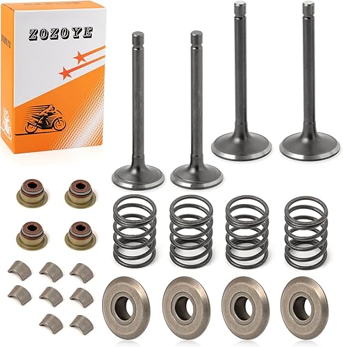 Fugi Robbin 295cc 350cc Válvula de escape y admisión y sellos Kit de reconstrucción de resortes para EZGO 4 ciclos de gas carrito de golf MCI
