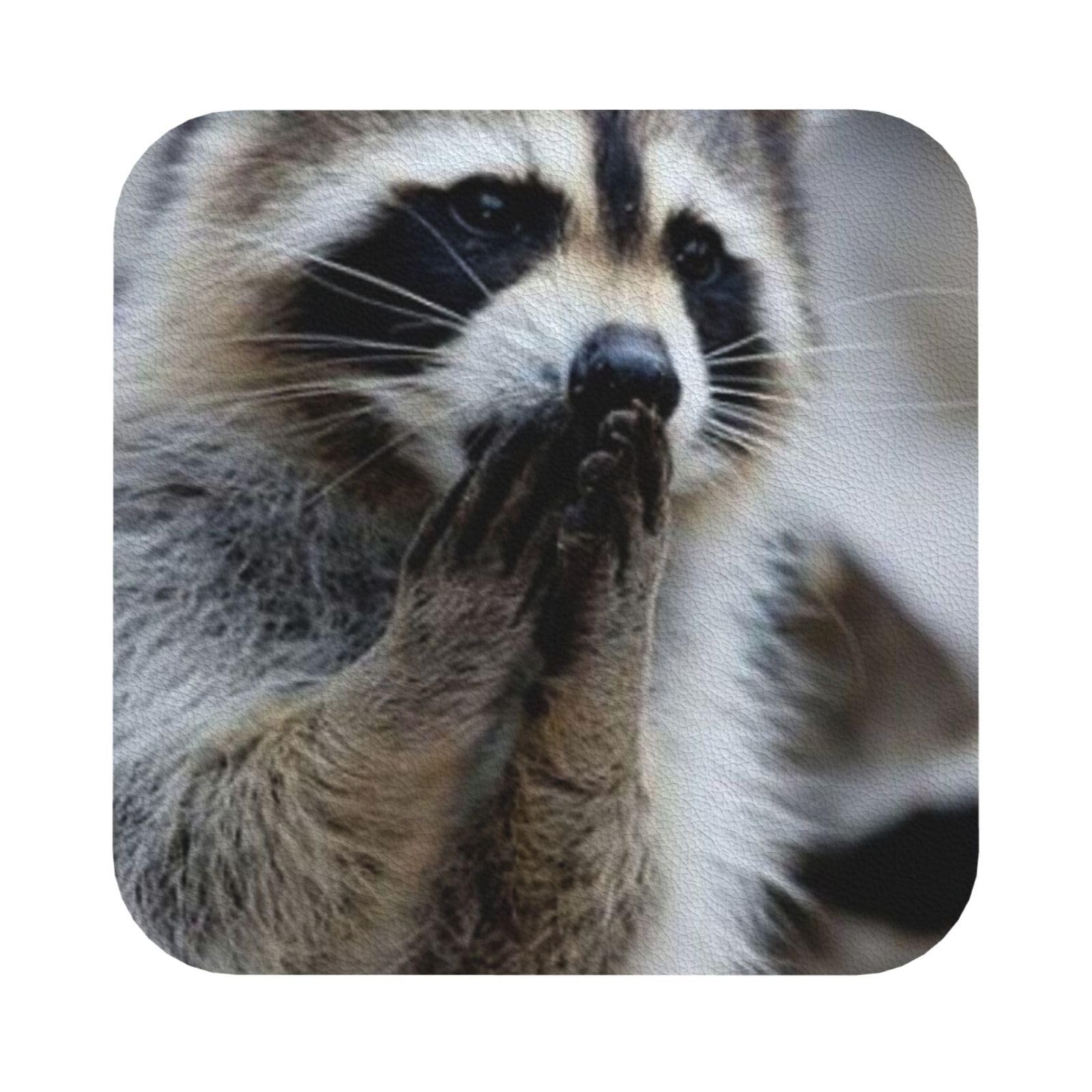 Cute Raccoon PU Leather Coasters Set of 6 Square Drink Coasters