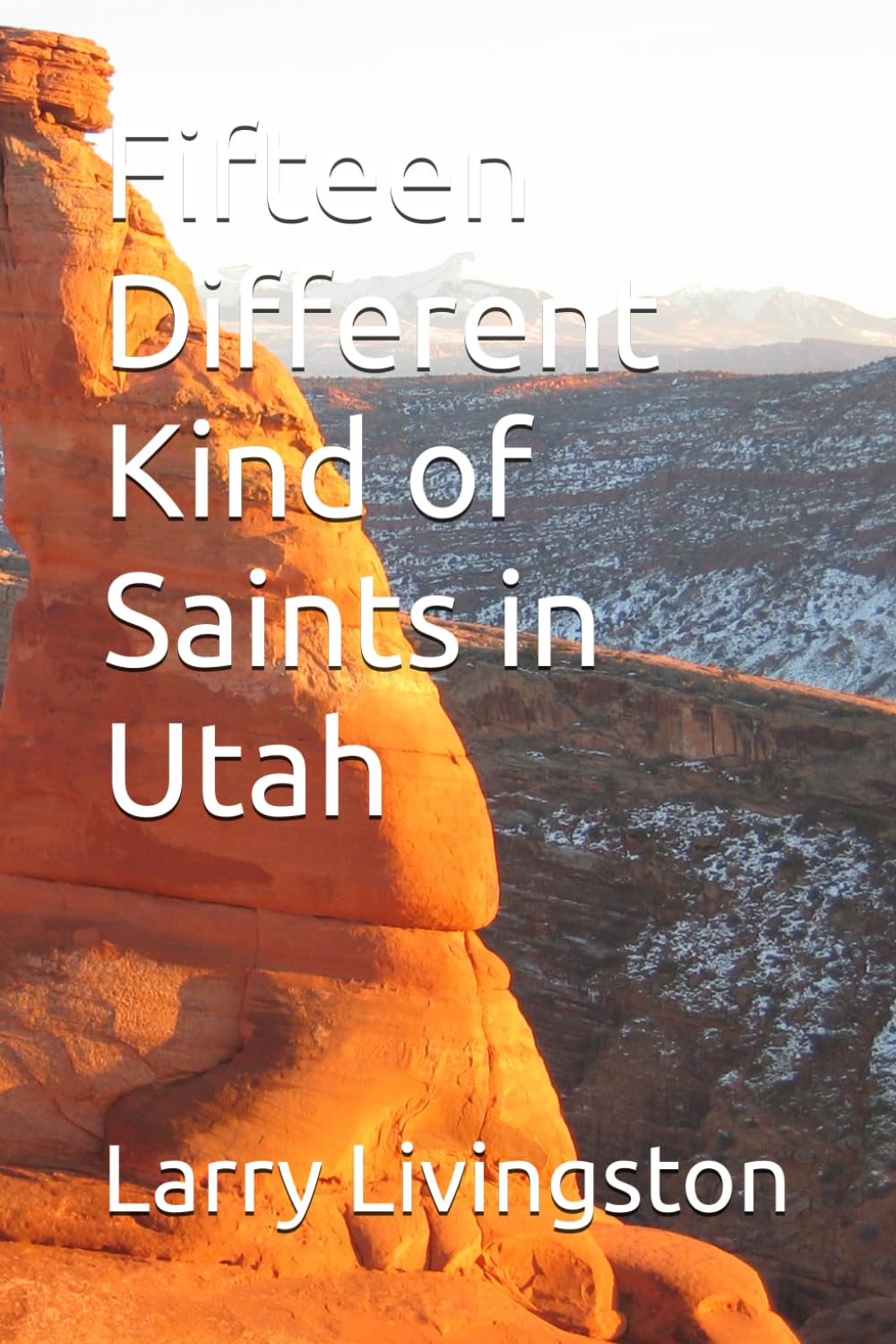 Fifteen Different Kind of Saints in Utah