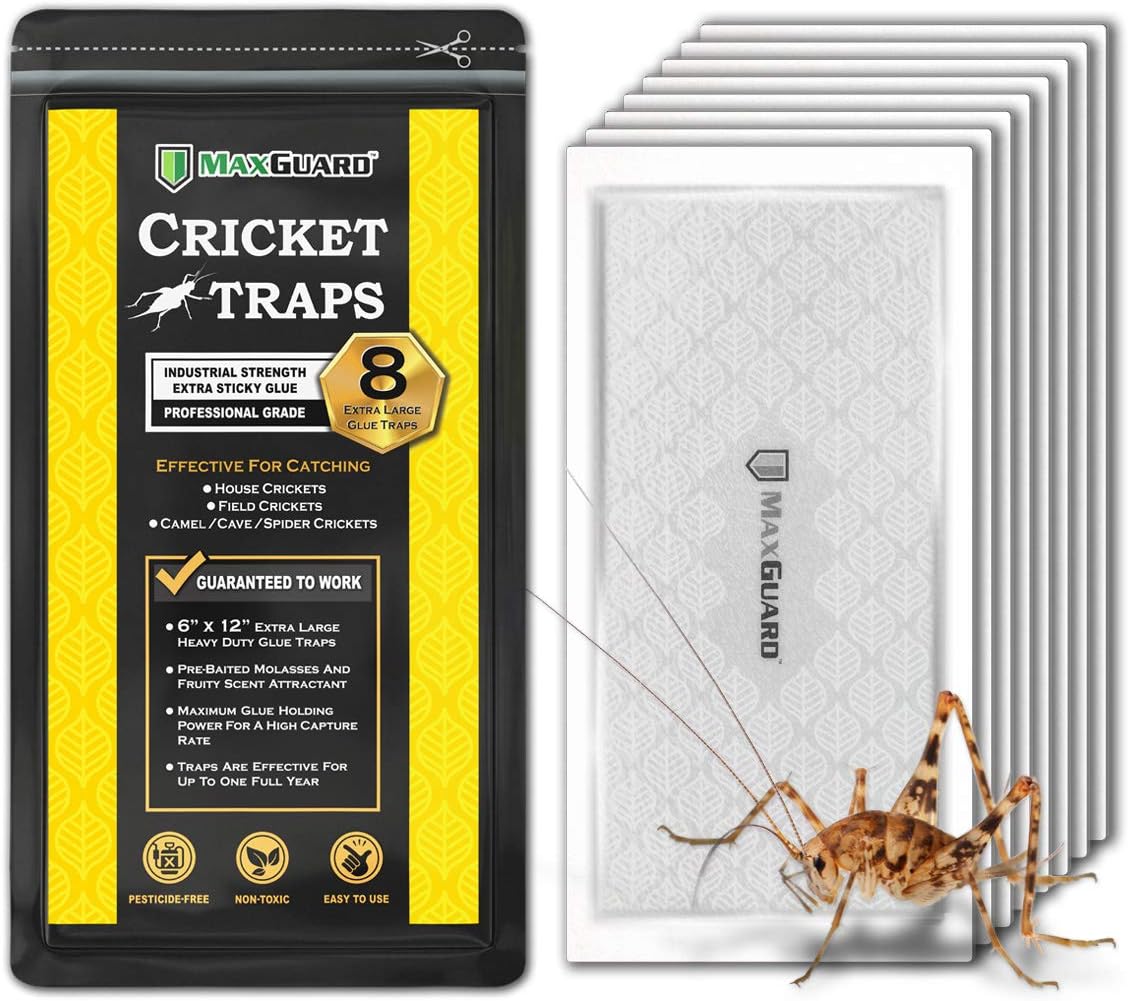 MaxGuard Extra Large Cricket Traps (8 Traps) NonToxic