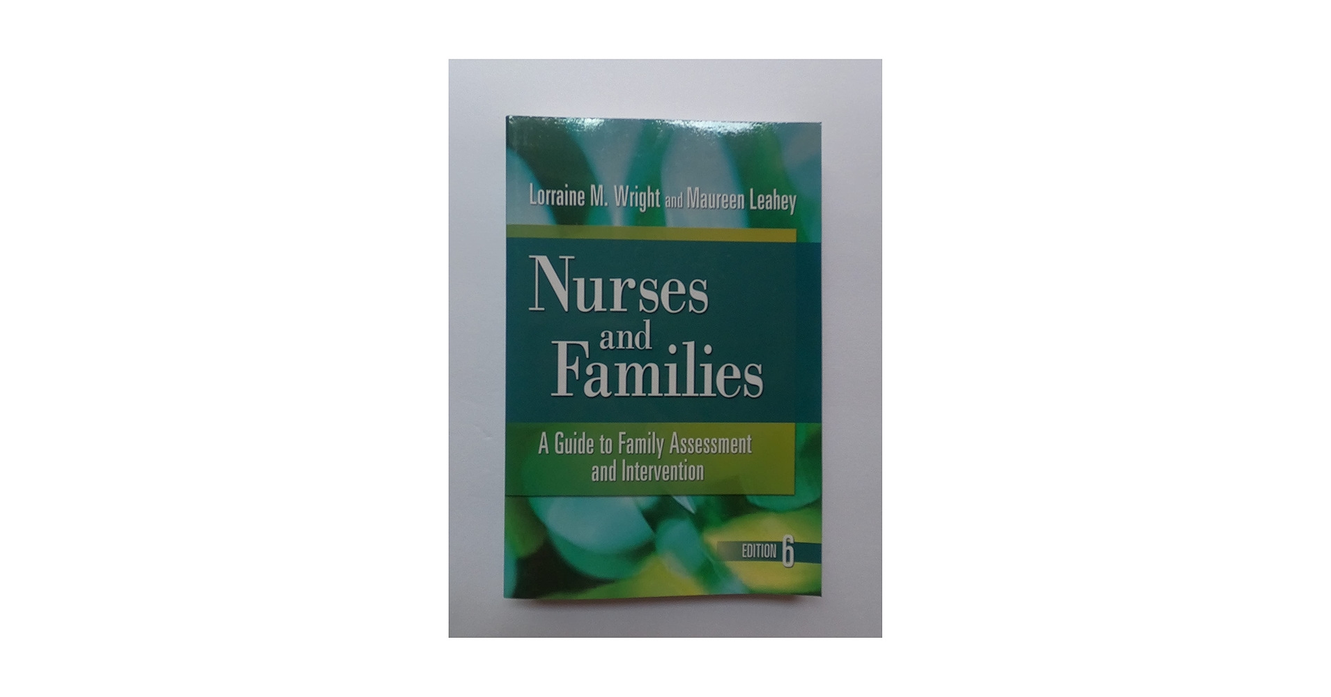 健康・医学 Wright & Leahey's Nurses and Families Wright & Leahey's Nurses and Families: A Guide to Family