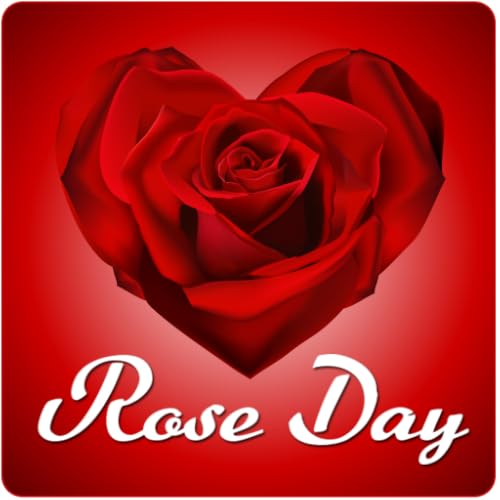 Rose Day Frames