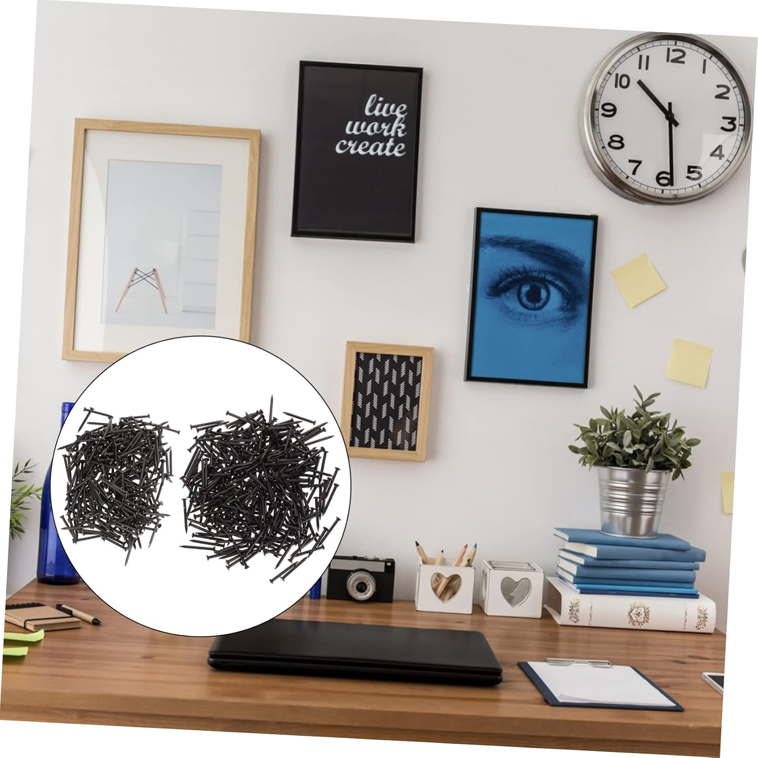 GARVALON Stainless Steel Cement Nails Point Tip Wall Nails Heavy Duty for Hanging Pictures Drywall Masonry