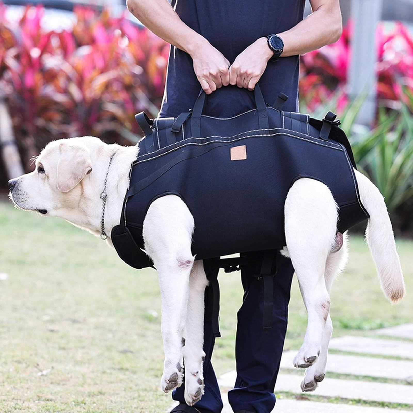 Arnés de elevación para Perros Extra Grande, portabebés para Perros de Cuerpo Completo, Mochila de Emergencia para Perros con asa y Tiras Reflectantes, arnés para Mascotas para Perros