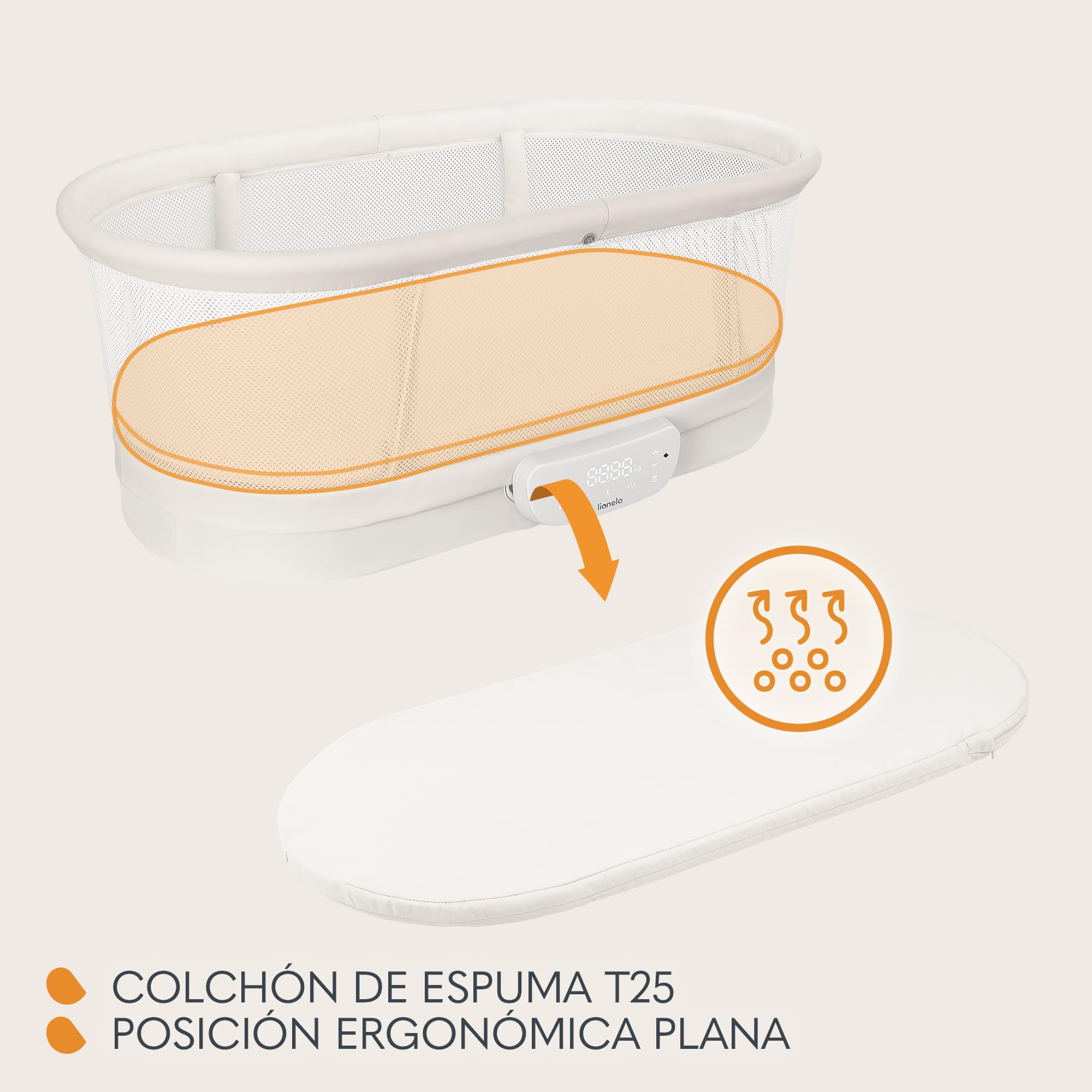 Lionelo Cora Trona plegable para bebé, de 6 a 36 meses | Hasta 15 kg, estructura estable, arnés de seguridad y bandeja extraíble