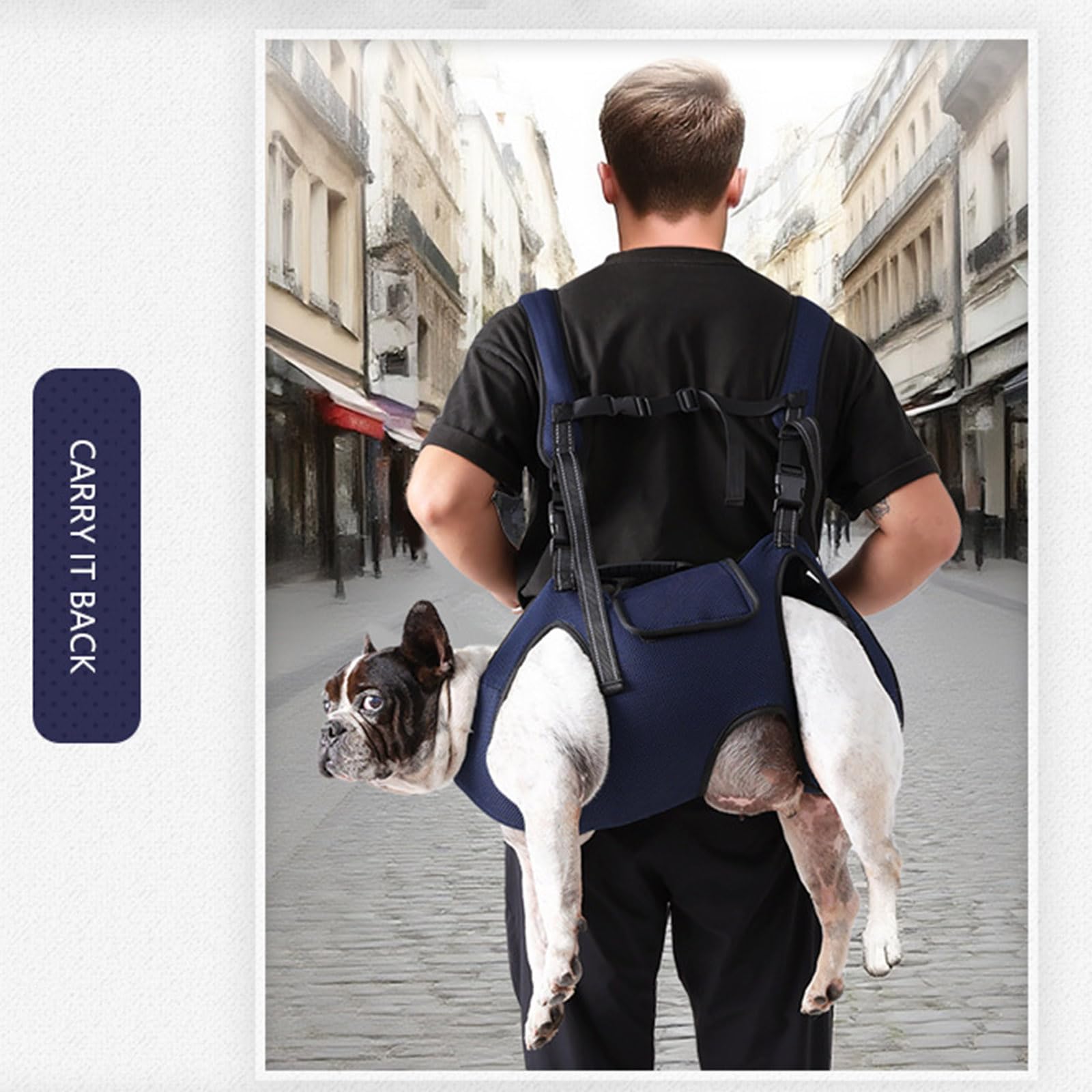 Trasportino portatile per cani con pannelli traspiranti spazioso interno fibbia di sicurezza per passeggiate in città escursionismo comoda borsa da viaggio per animali domestici