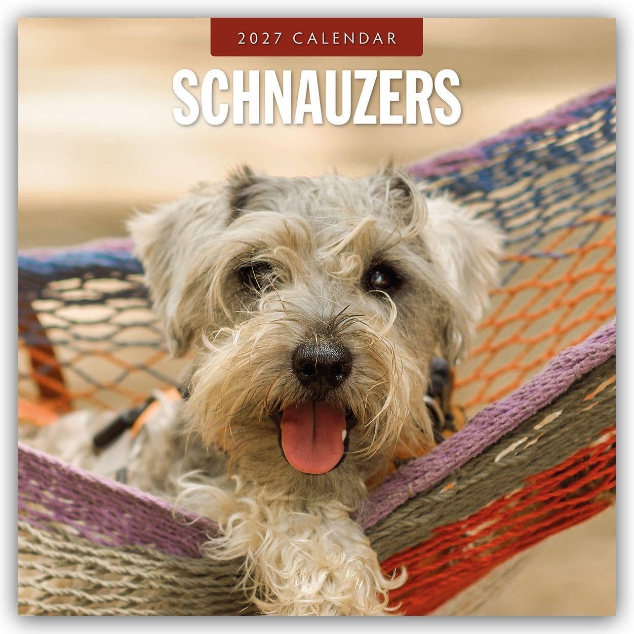 Schnauzer 2027 Square Wall Calendar: Original Red Robin Publishing Ltd-Kalender [Mehrsprachig] [Kalender]