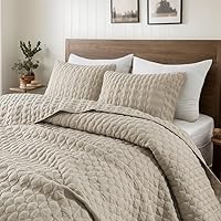 WDCOZY Beige Quilt Twin Size Set with Pillow Sham - Lightweight All-Season Bedspread Coverlet 68x90 Tan Cream