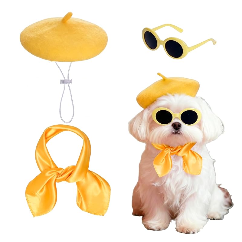 Conjunto de fantasia com boina amarela, lenço de cetim e óculos para cães pequenos e gatos Haakong