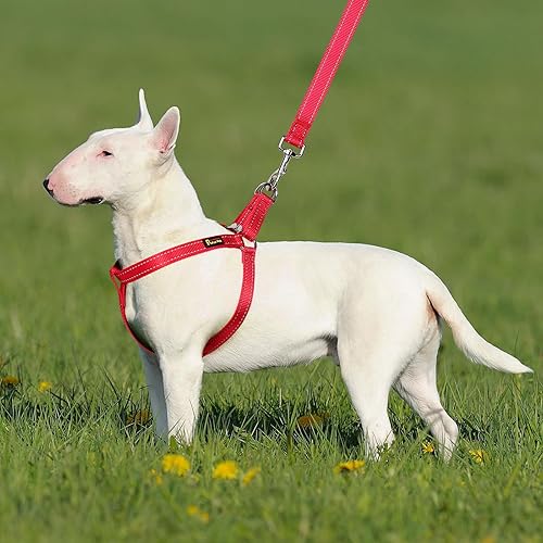 Miniatura 7 de Plutus Pet Arnés para perro, reflectante, ajustable y seguro con hebillas de metal, arnés para perro de fácil paseo para cachorros, perros pequeños,