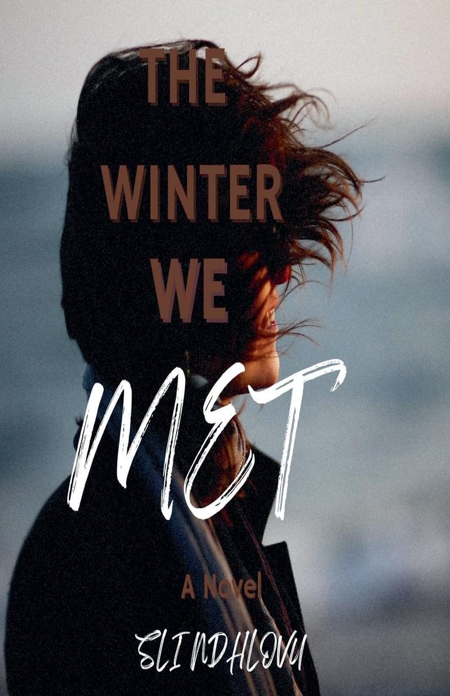 The Winter We Met: 2 (Seasons of Love Quartet)
