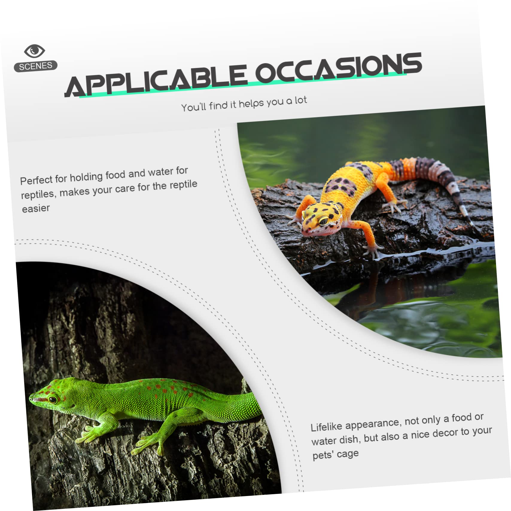 Cuenco de agua para reptiles Cuenco for alimentación de reptiles, 8 piezas, cuenco for reptiles, cuenco for baño de pájaros for mascotas, comedero for reptiles, plato de alimentación for reptiles, cue
