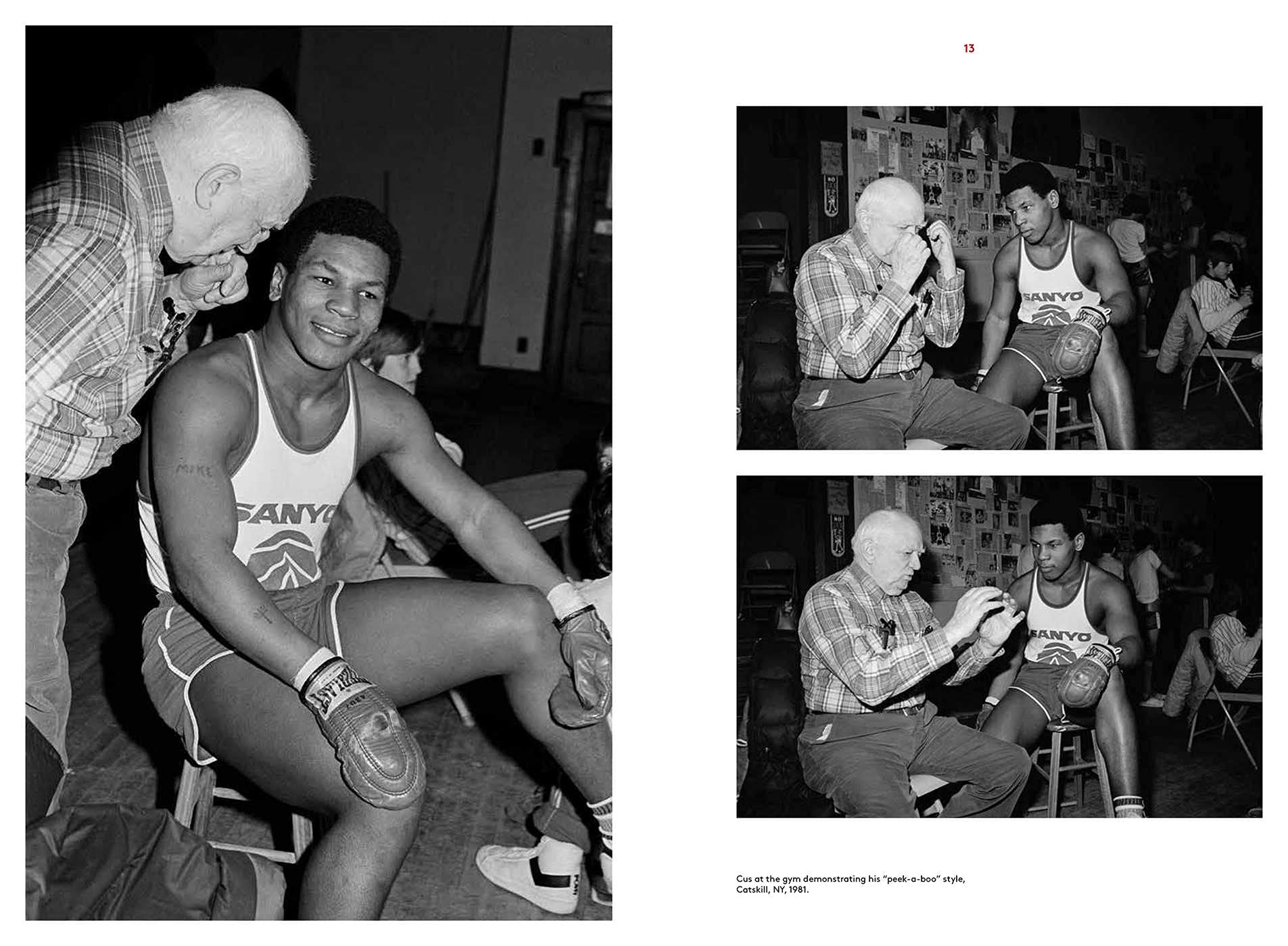 Mike Tyson: 1981-1991