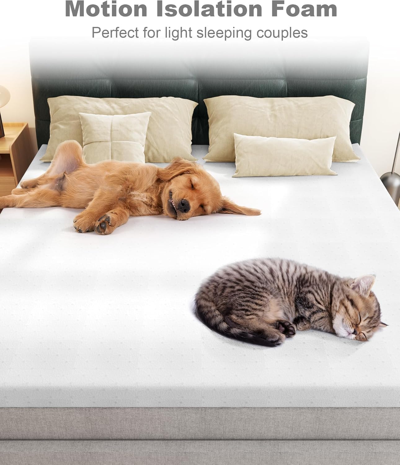 Ferlizer 2" [Full] Firm Memory Foam Mattress Topper with Ultra Soft Cover & Corner Straps, CertiPUR-US Certified, Grey