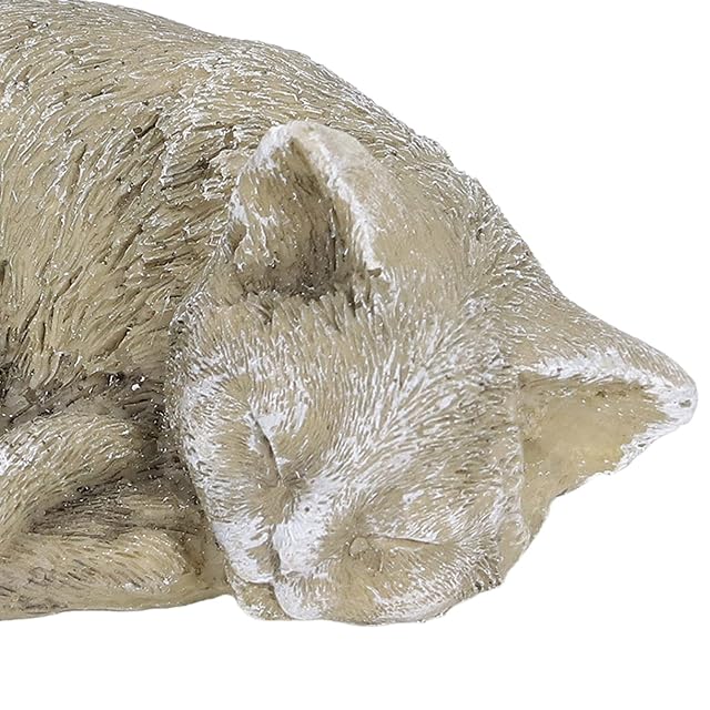 Foto 7 de 8 de Hapivida Piedras conmemorativas de Resina para Mascotas, para Siempre en Nuestros Corazones