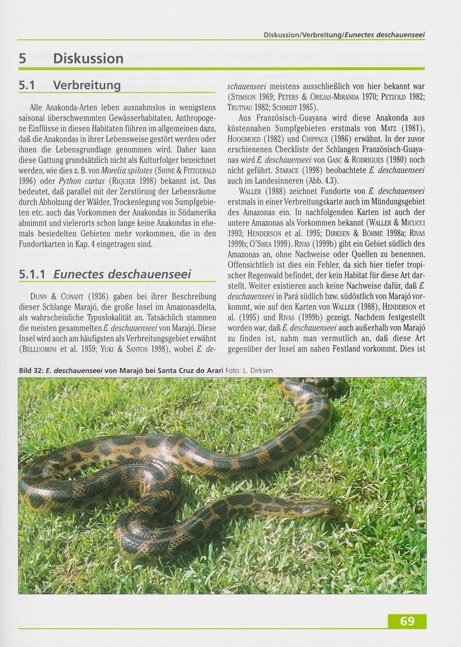 Anakondas: Monographische Revision der Gattung Eunectes Wagler, 1830 (Serpentes, Boidae) (Wissenschaft)