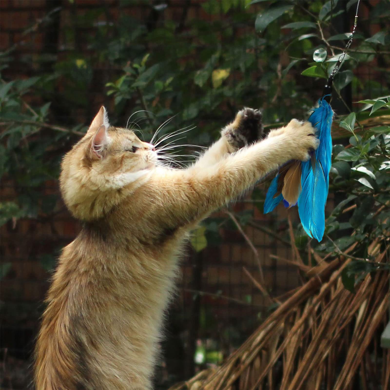 Jouet Chat Plume, Jouets pour Chats à Plumes, 1 Rétractable Canne à Pêche Chat Jouet avec 8 Recharges,Interacti pour l'intérieur Chats et Chatons(9 PCS)
