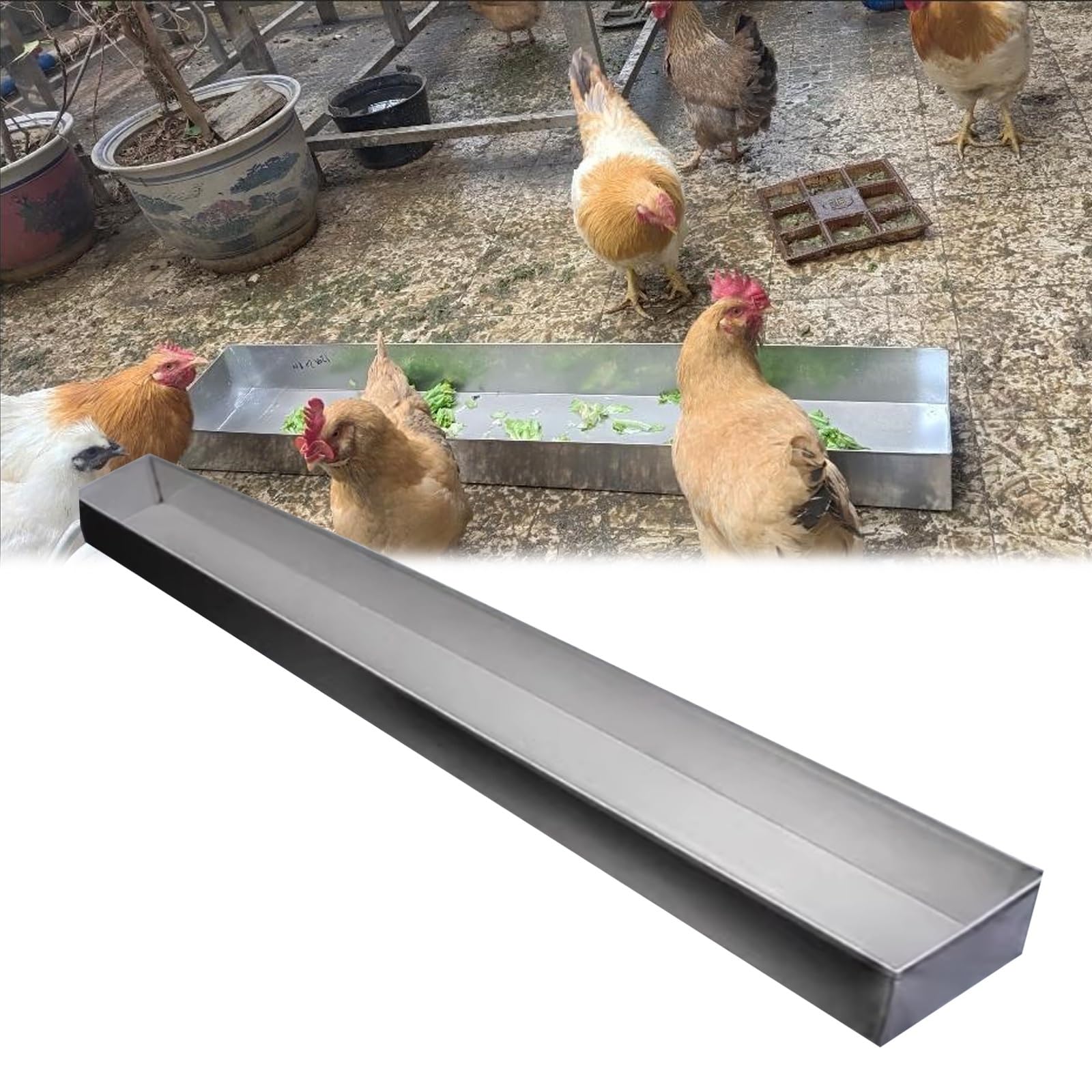 SRNSAEB Comedero para Ganado Bebedero para Animales al Aire Libre 20 40 60 80 100 CM, comedero de heno para Palomas, Pollos, Patos, Gansos, Conejos, System de comedero(H 7cm(2 3/4"),L 80cm (31 1/2"))