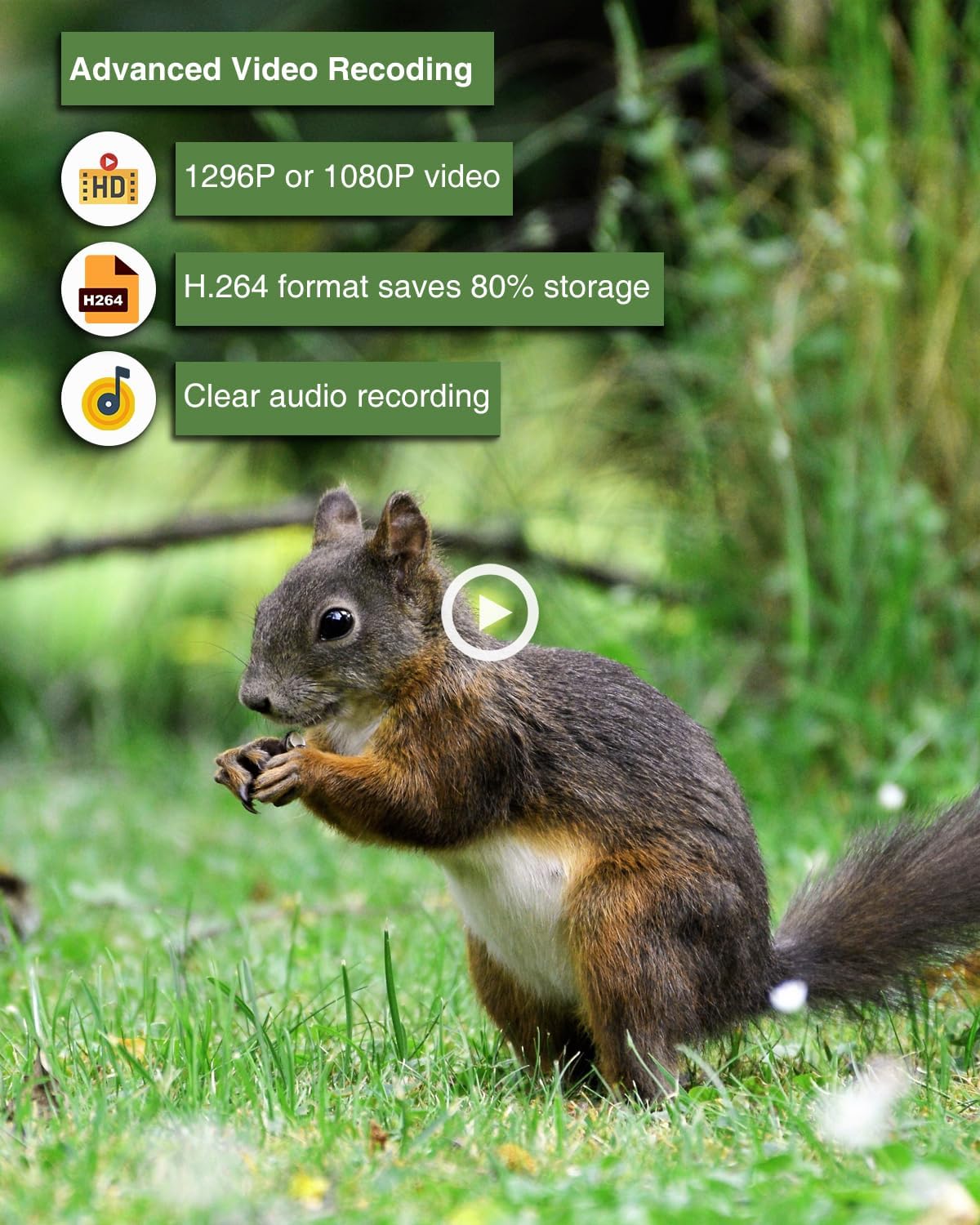 Trail Camera S5, Super-Low-Light Sensitivity Sensor, 48MP 1296p, Game Camera with No Glow 100ft Night Vision, 0.1s Trigger Speed Motion Activated, Waterproof