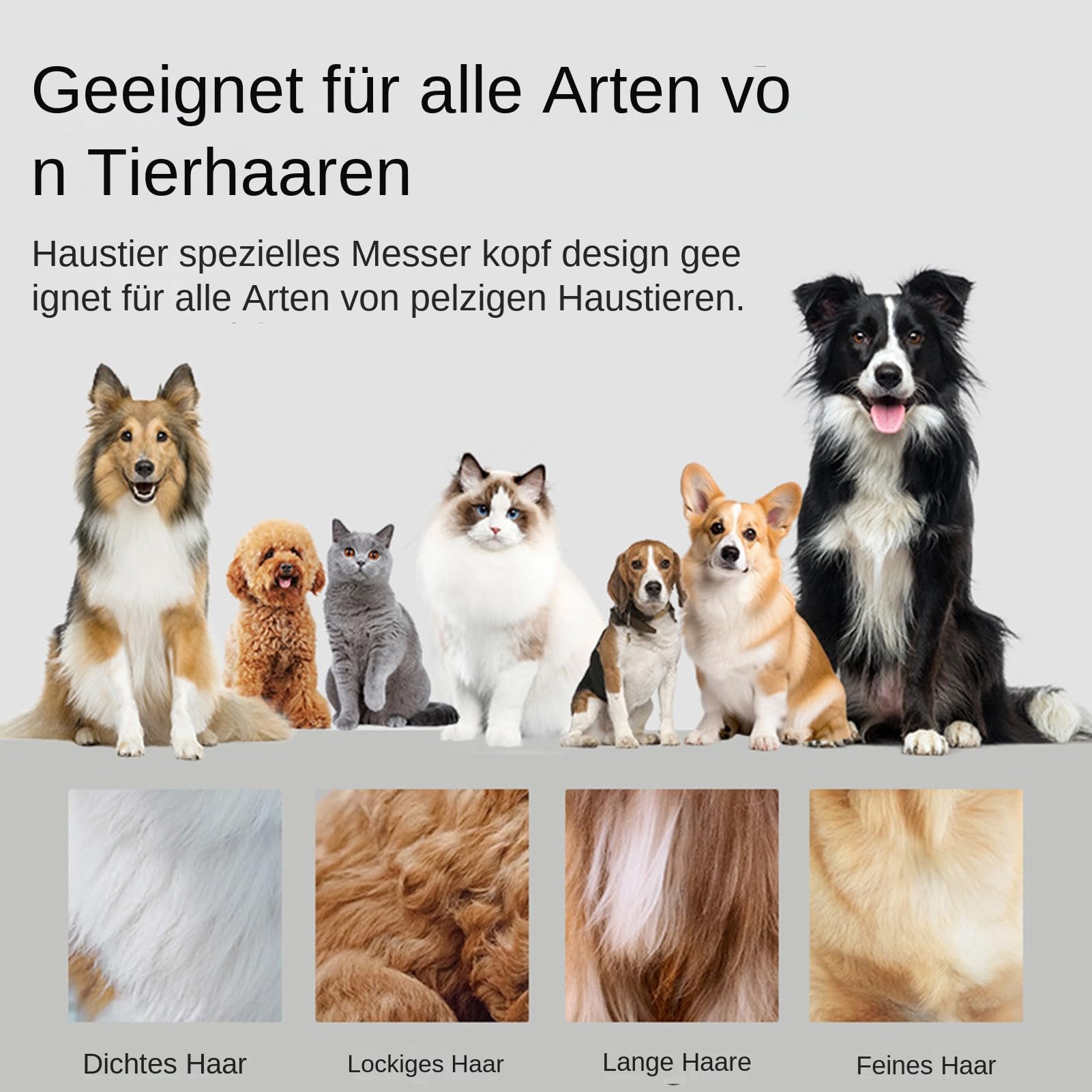 Tierhaar-Trimmer, Haarschneider Für Haustiere, Kabelloser Wiederaufladbarer Elektro-Trimmer Leises Pflegeset Für Katzen Welpen Ohren Und Gesicht