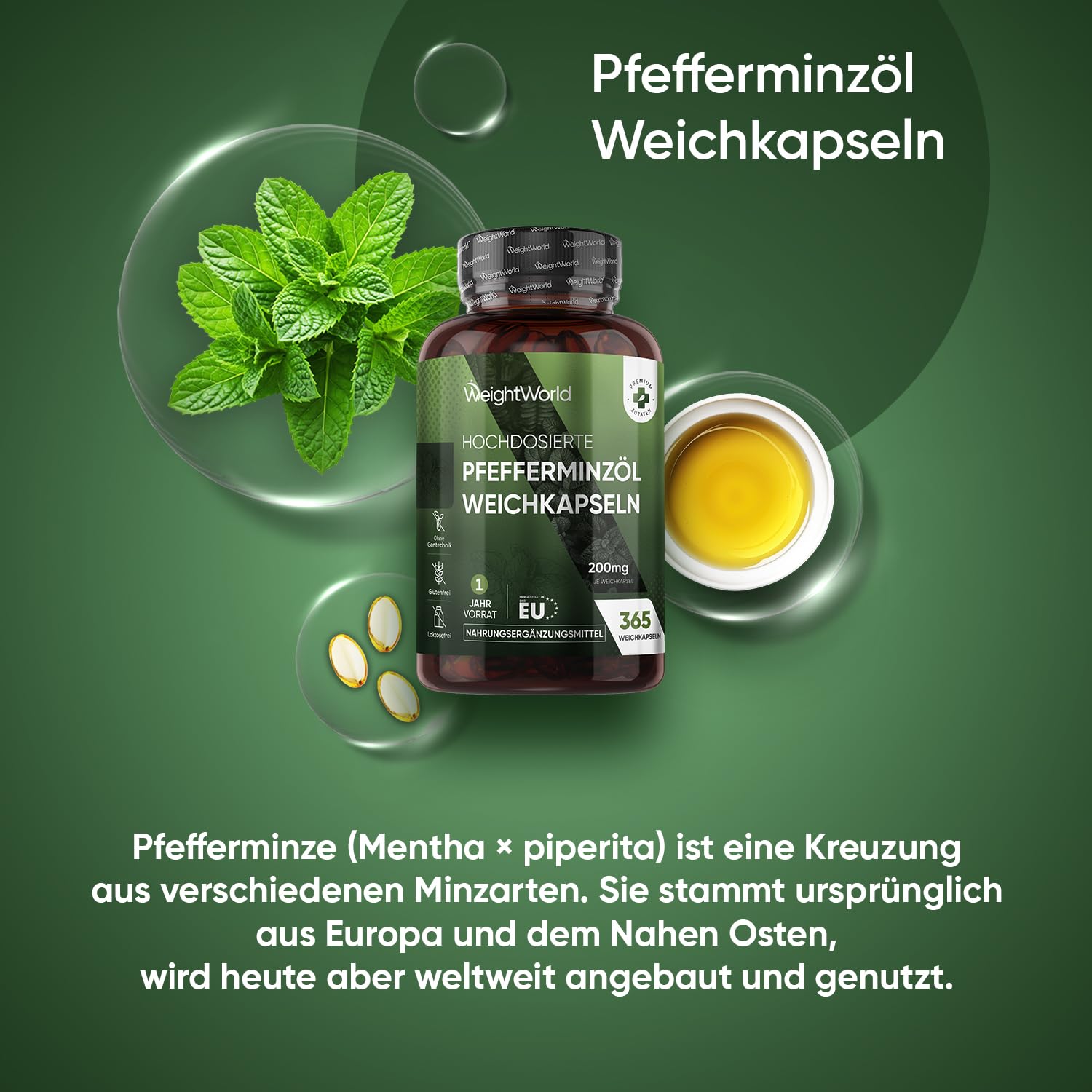 Pfefferminzöl Weichkapseln - 200mg Pfefferminz Öl pro Softgel - 365 Pure Peppermint Oil Weichkapseln - 1 Jahr Vorrat - Glutenfrei, Laktosefrei & Ohne Gentechink - Pfefferminze - WeightWorld