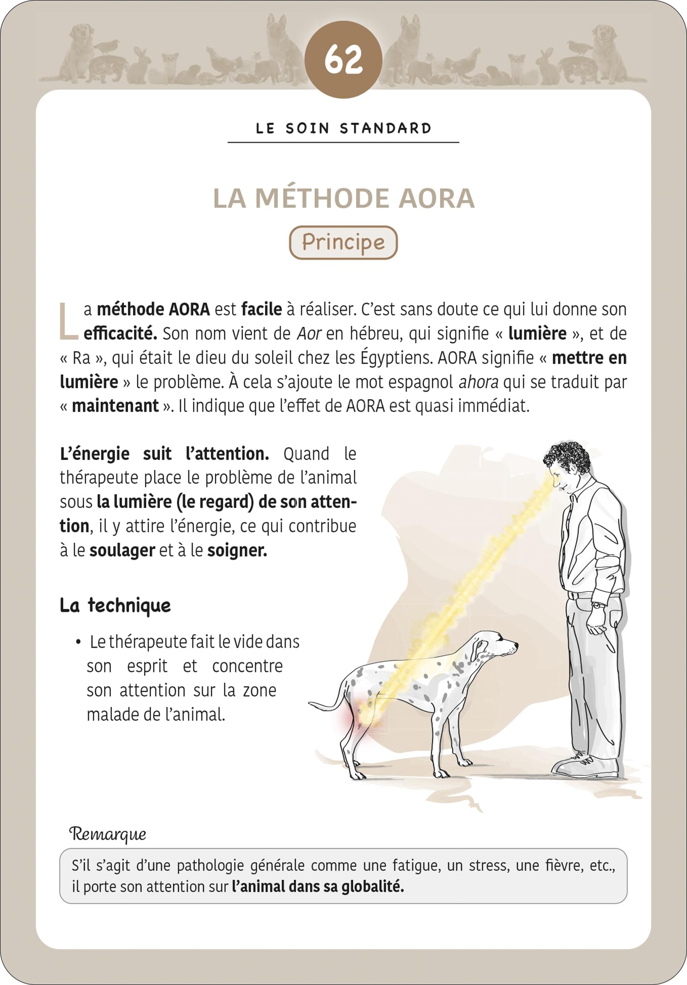 120 fiches de soins énergétiques pour les animaux