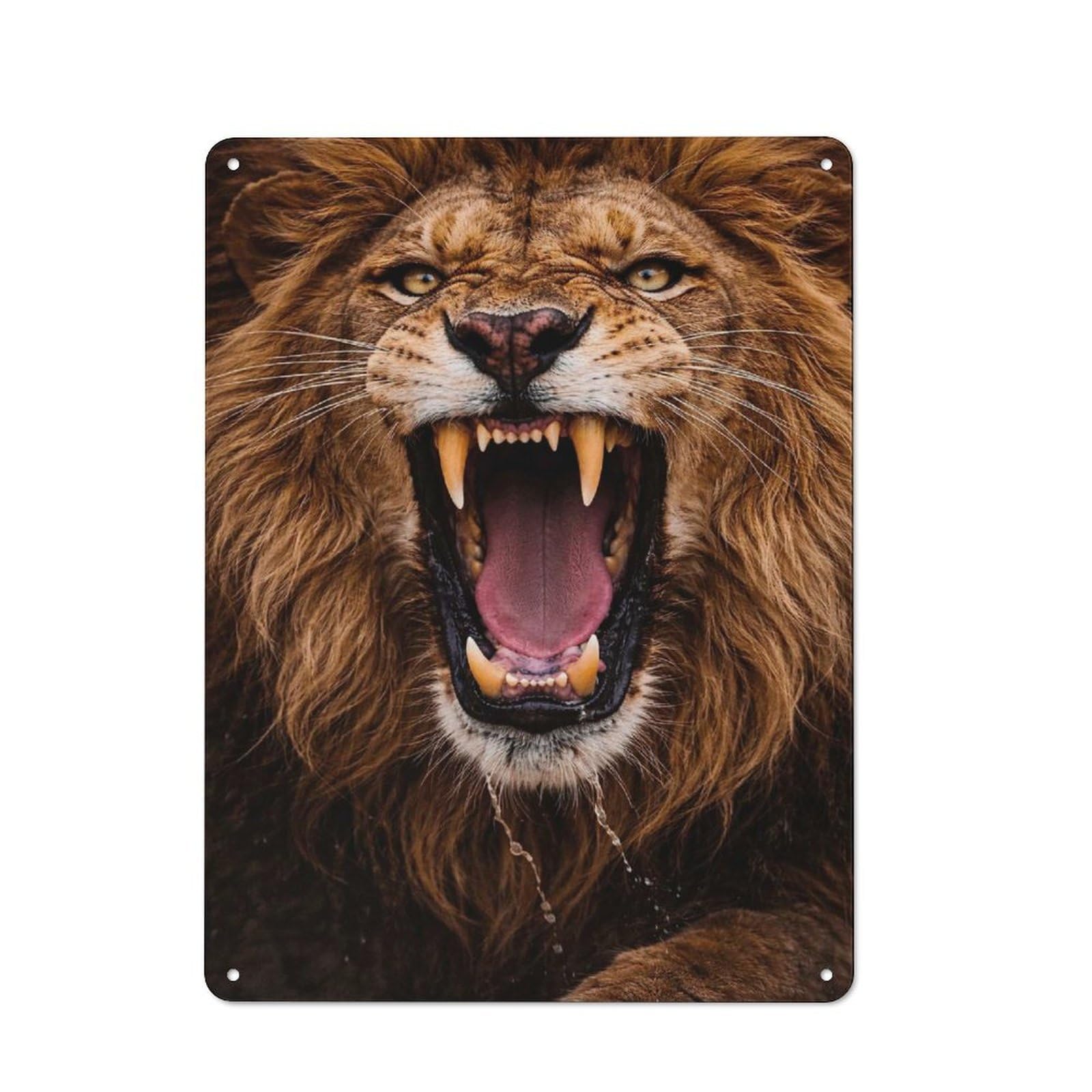 Close-up of A Roaring Lion Decorative Tin Plaque 40x30cm, Decorative Novelty Wall Art for Hallway, Home Bar, Garage Or Study