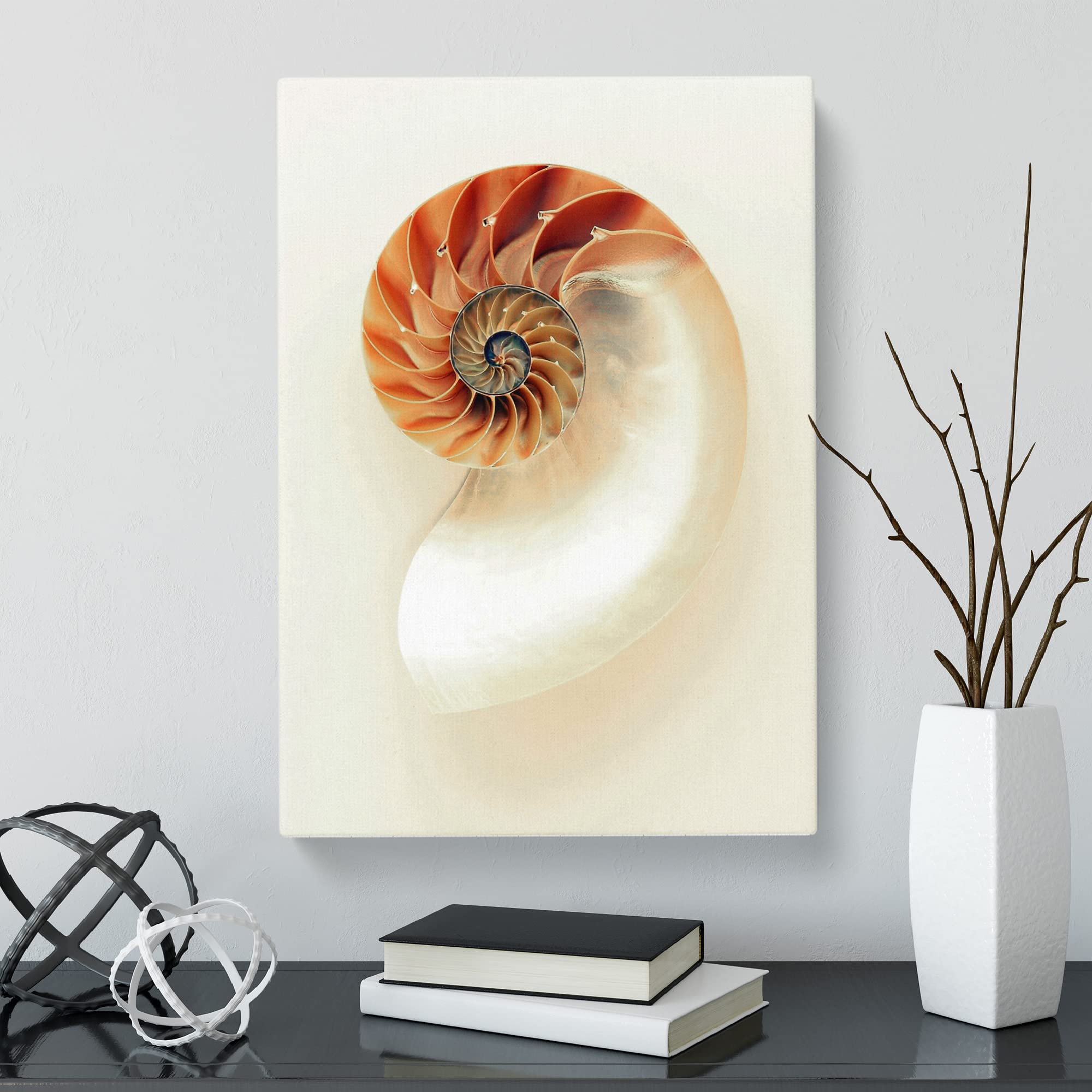 Mother Of Pearl Shell Canvas Print, Mixed, 25L x 50W cm - Image 2
