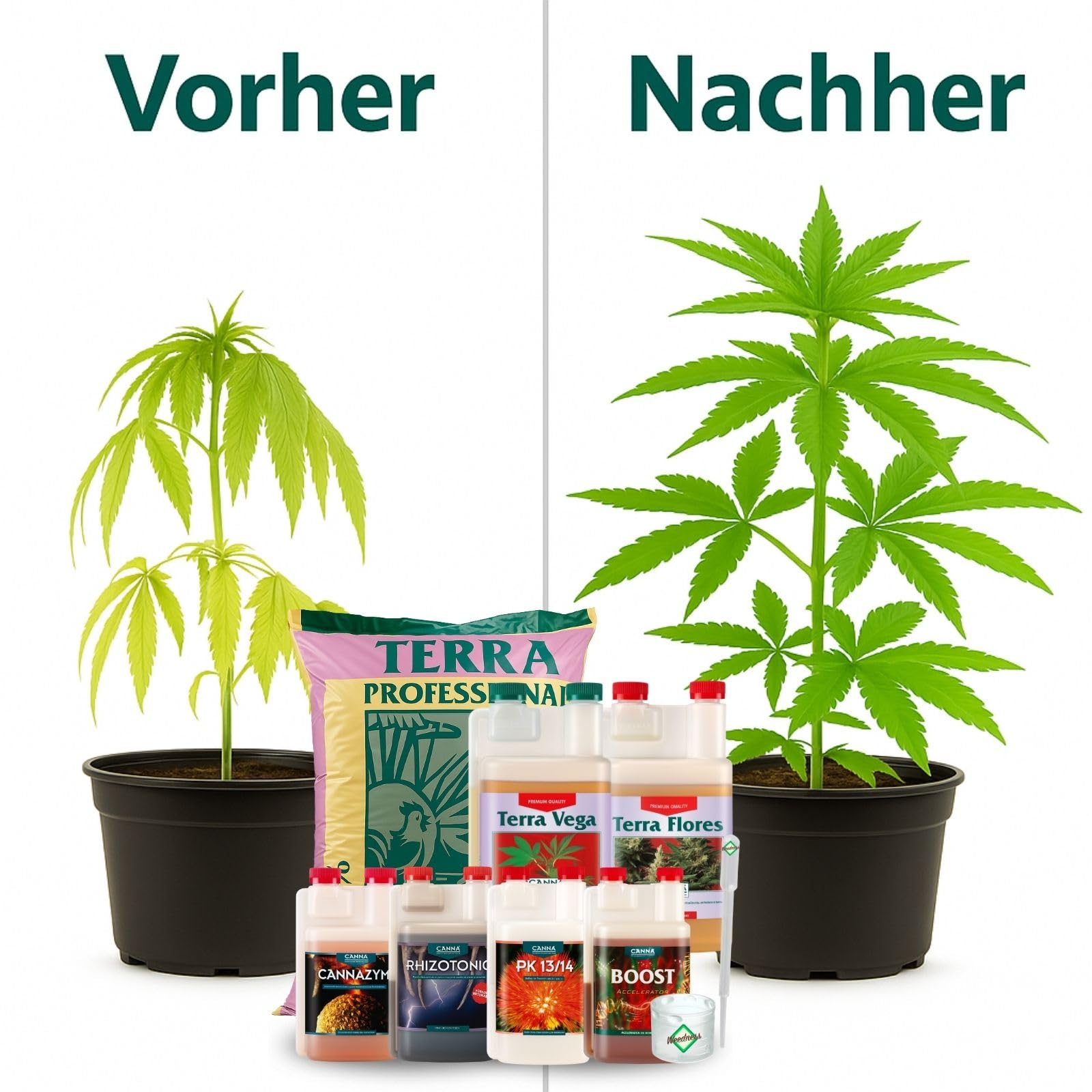 Weedness Canna Terra Professionell 50 Liter + Dünger Big - Blumenerde Grow Balkon-Pflanzen Pflanzerde Gartenerde Tomatenerde